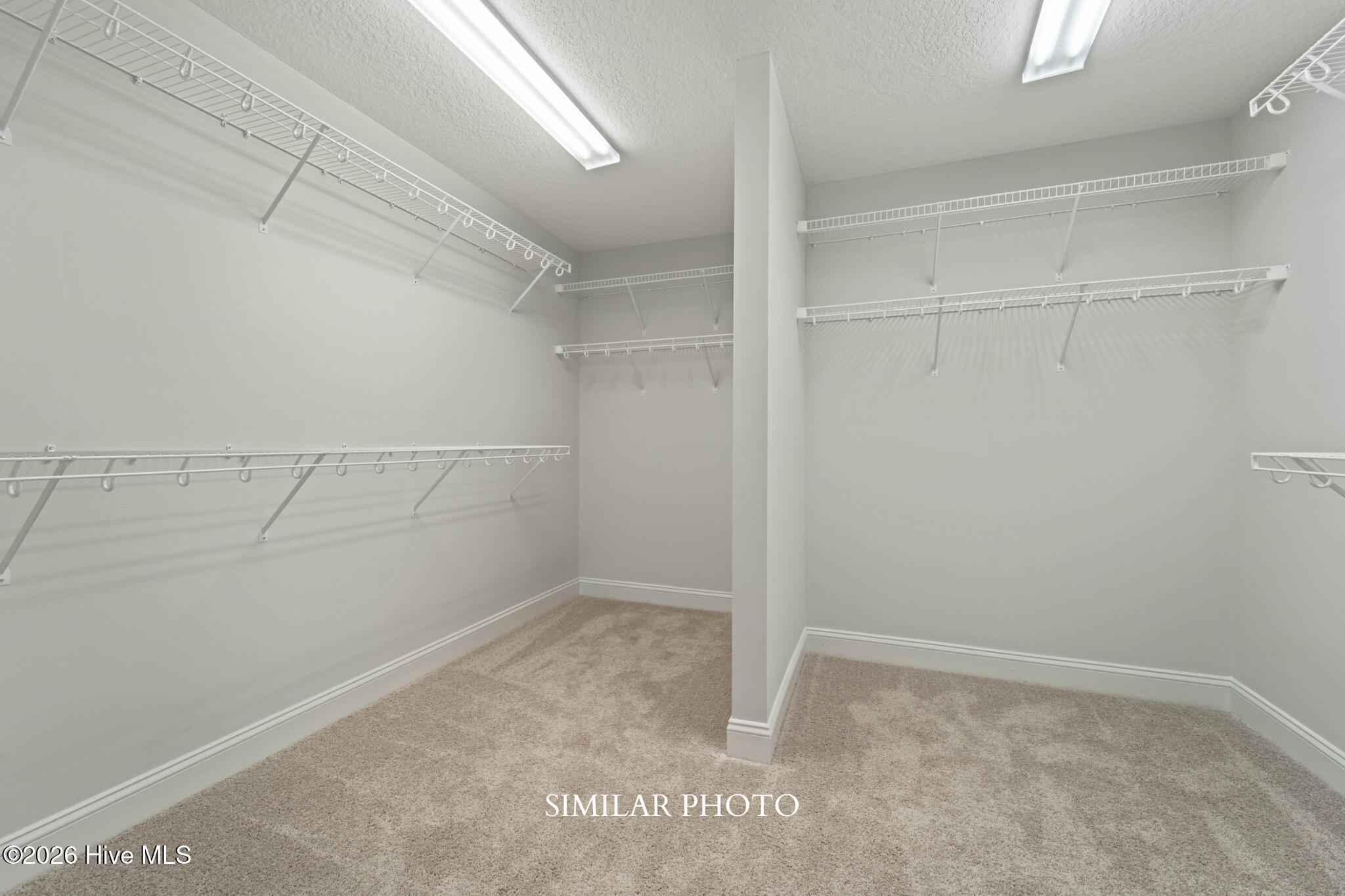 109 Twisted Vine Boulevard Property Photo 29