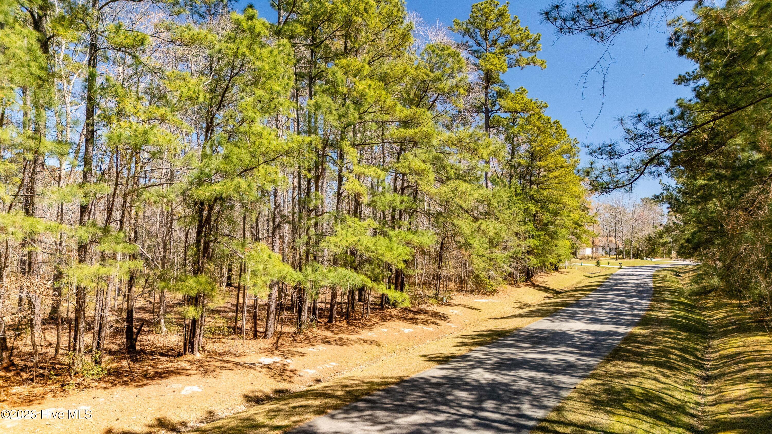425 Plantation Parkway Property Photo 2