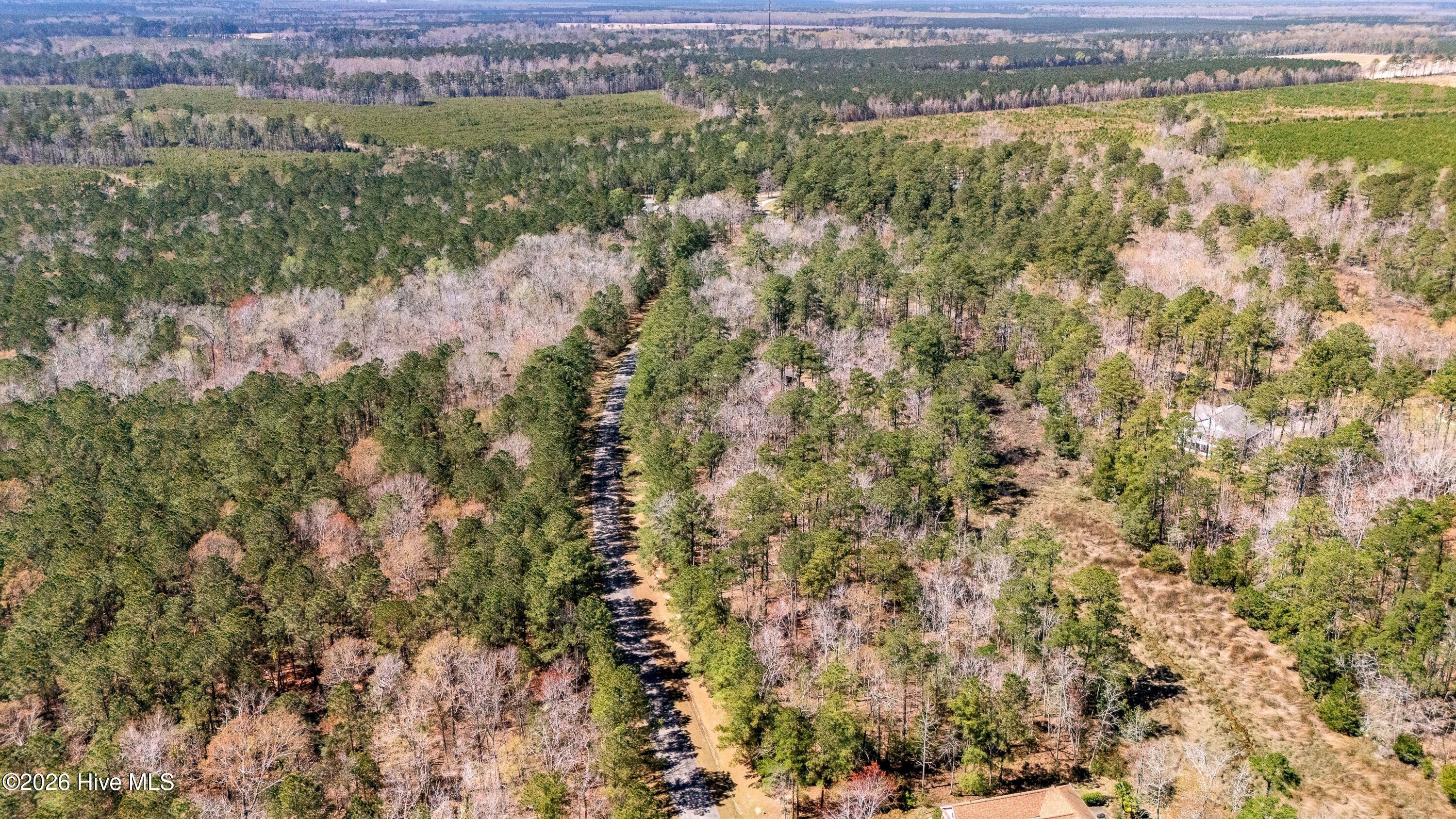 425 Plantation Parkway Property Photo 4