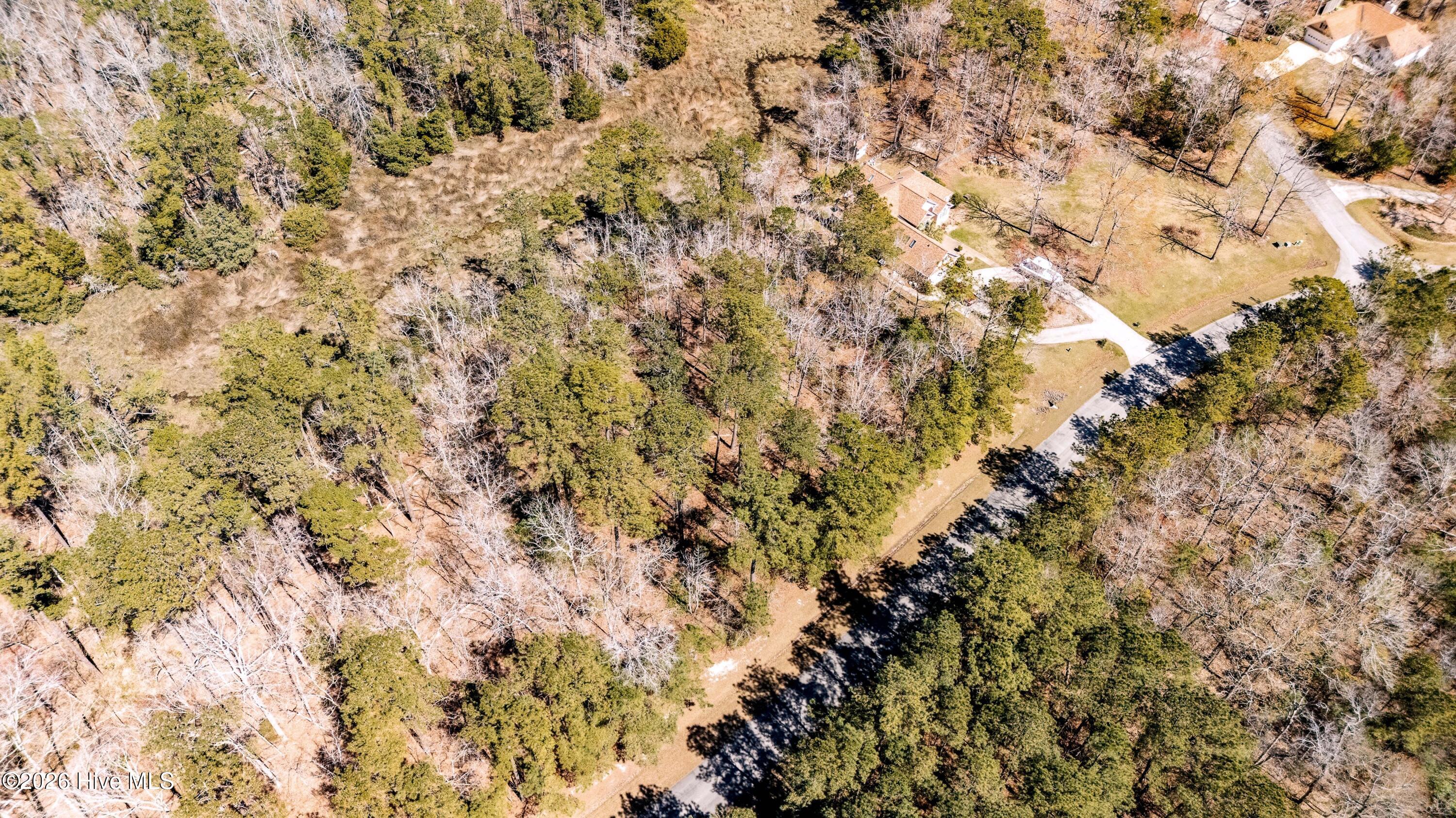 425 Plantation Parkway Property Photo 6