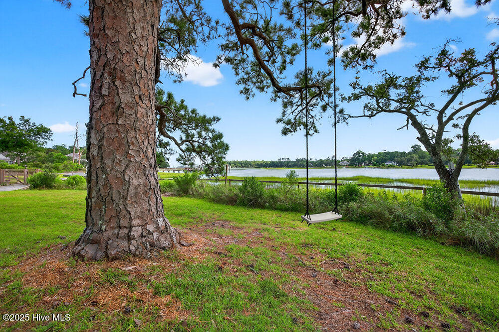 2425 Alford Landing Drive Property Photo 37
