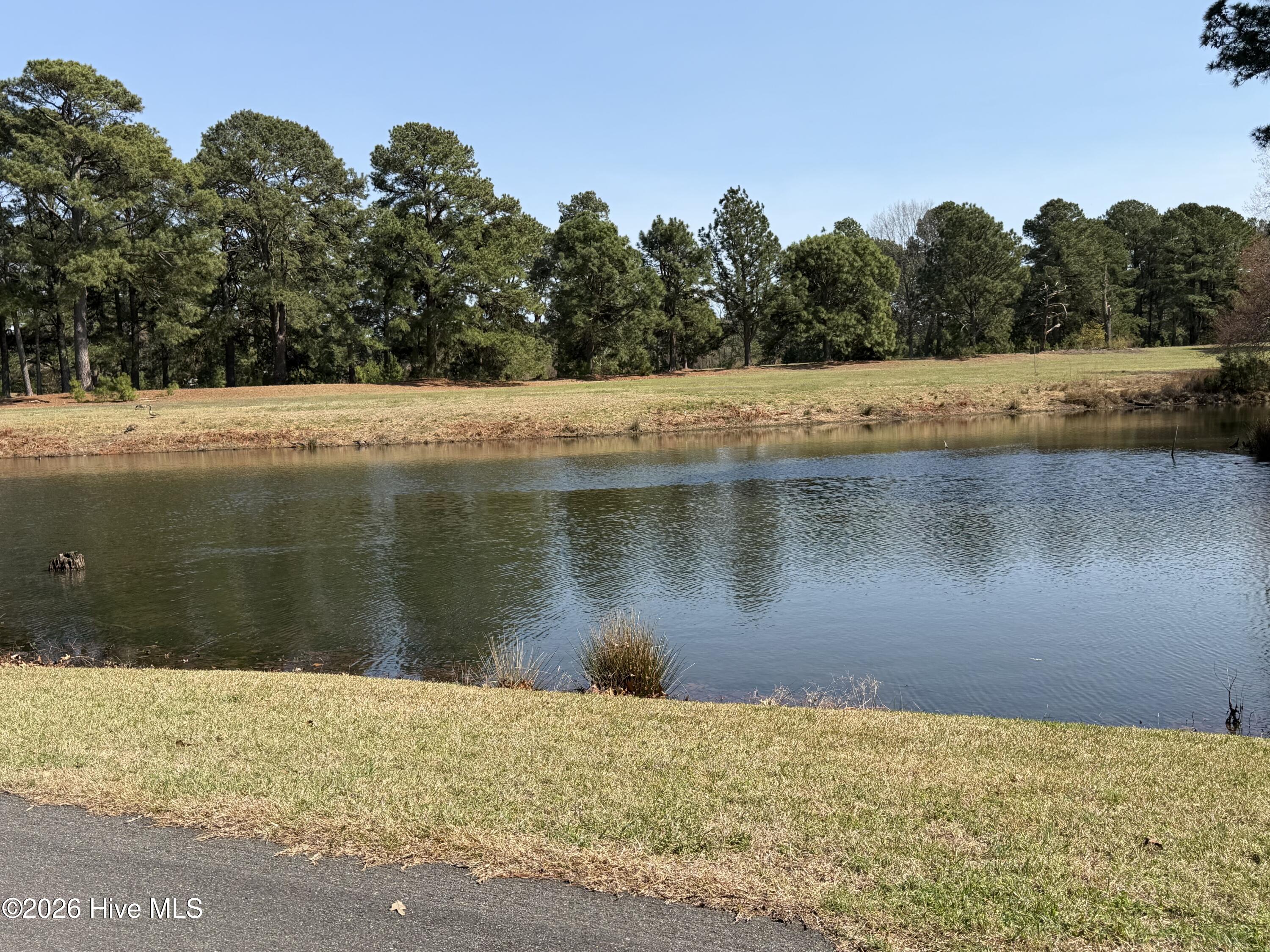 808 E Beechtree Drive Property Photo 6