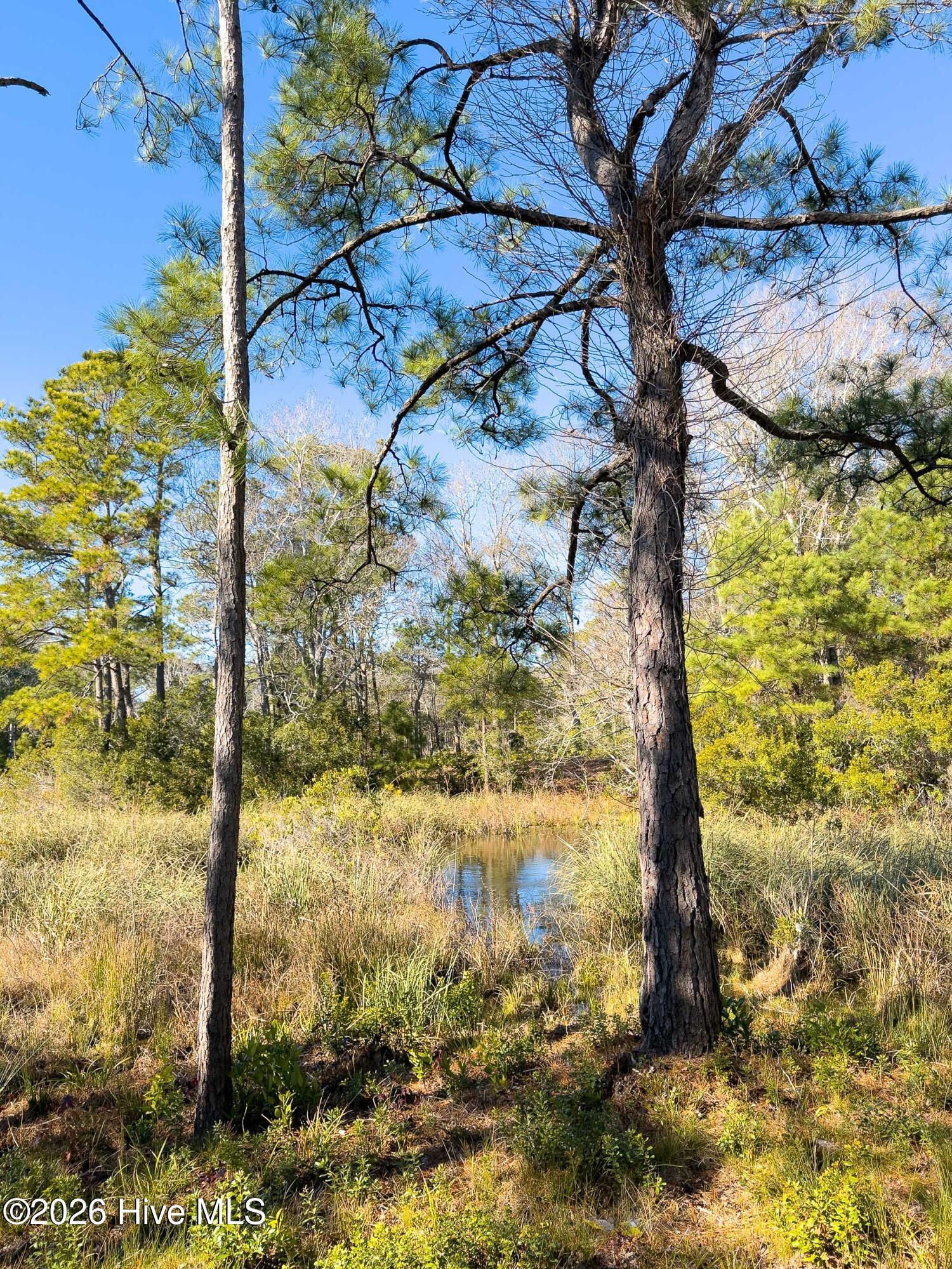1907 Redfish Run Sw Property Photo 56