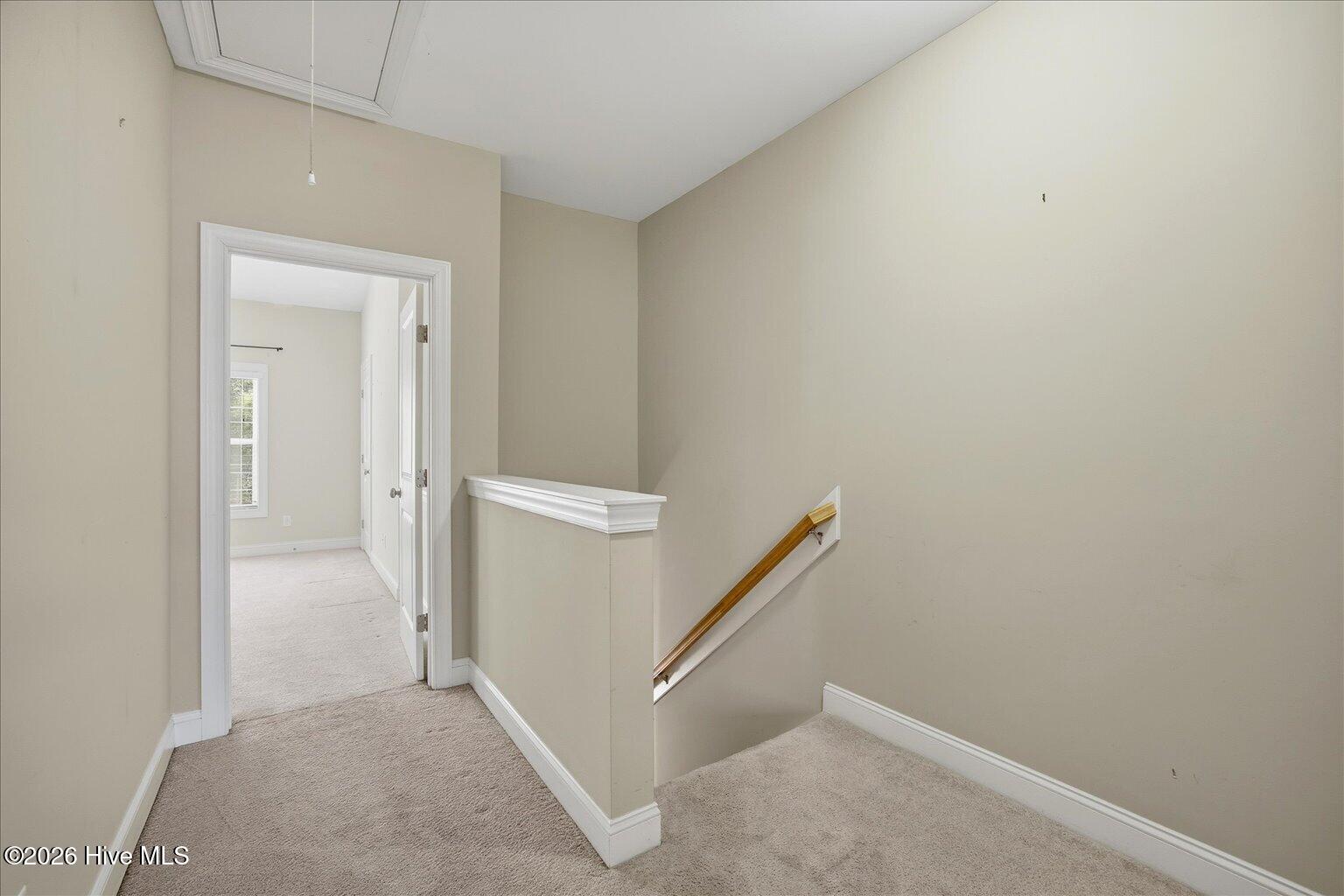 4838 Exton Park Loop Property Photo 9