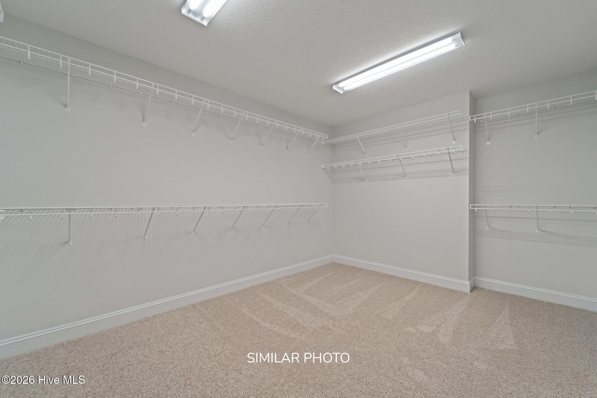 304 Water Wagon Trail Property Photo 21