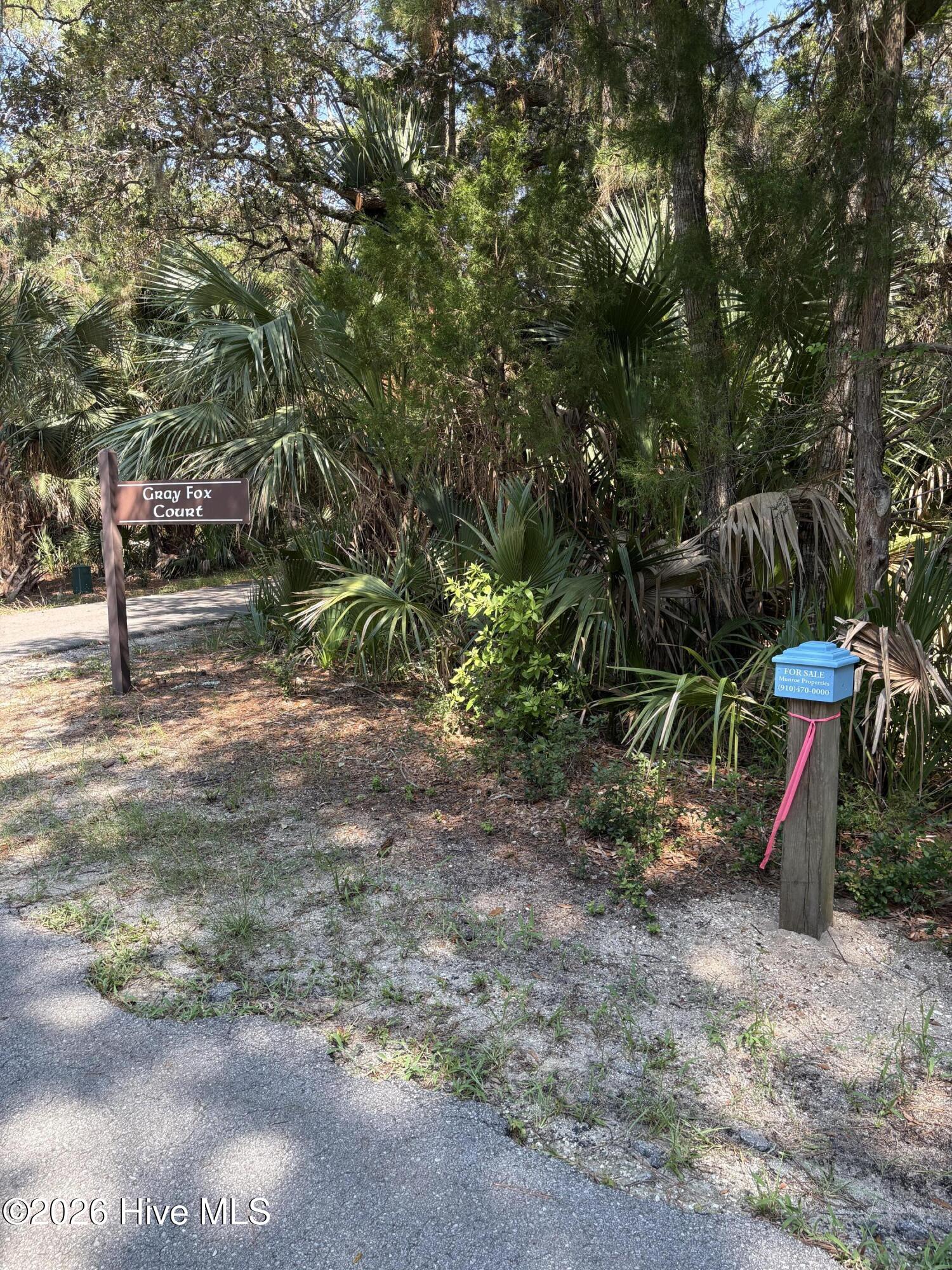 2 449 Gray Fox Court Property Photo 10