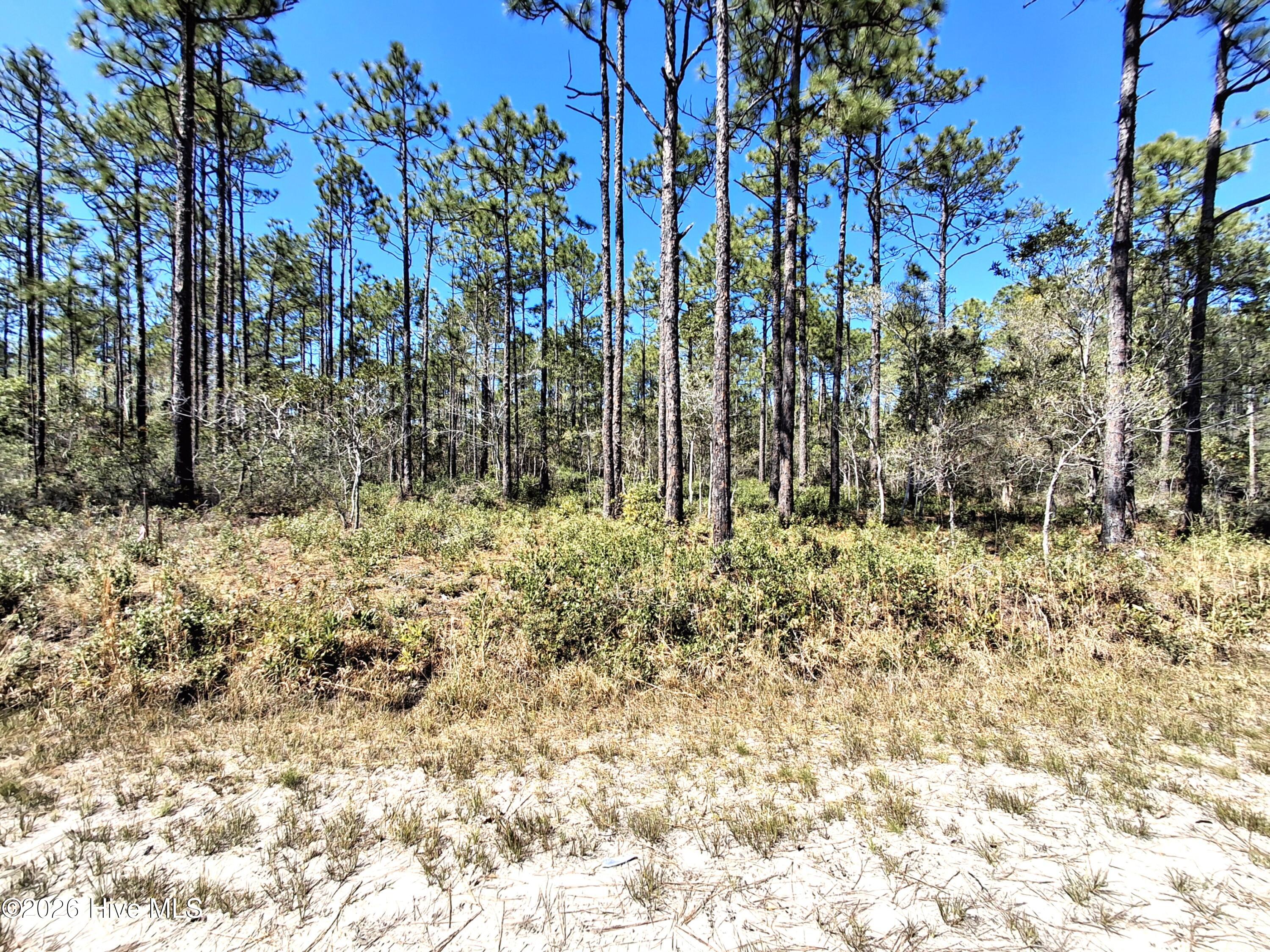 Lot 550 550 Crescent Road Property Photo 1