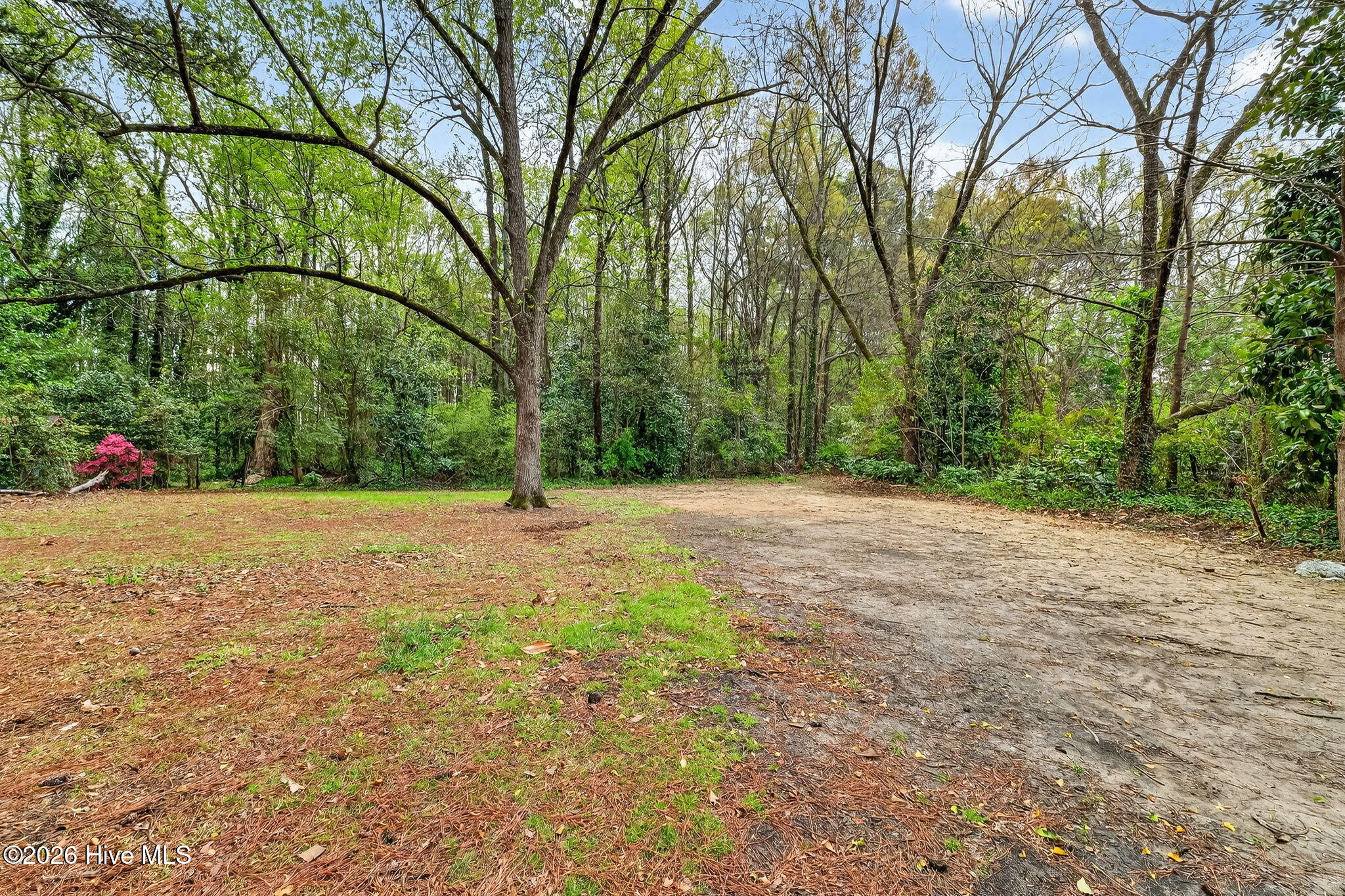 220 E Branch Street Property Photo 60