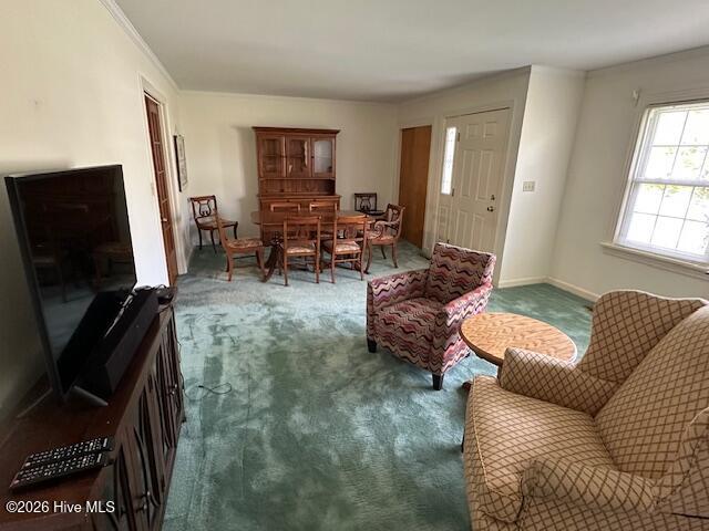 315 Hampton Drive Property Photo 21