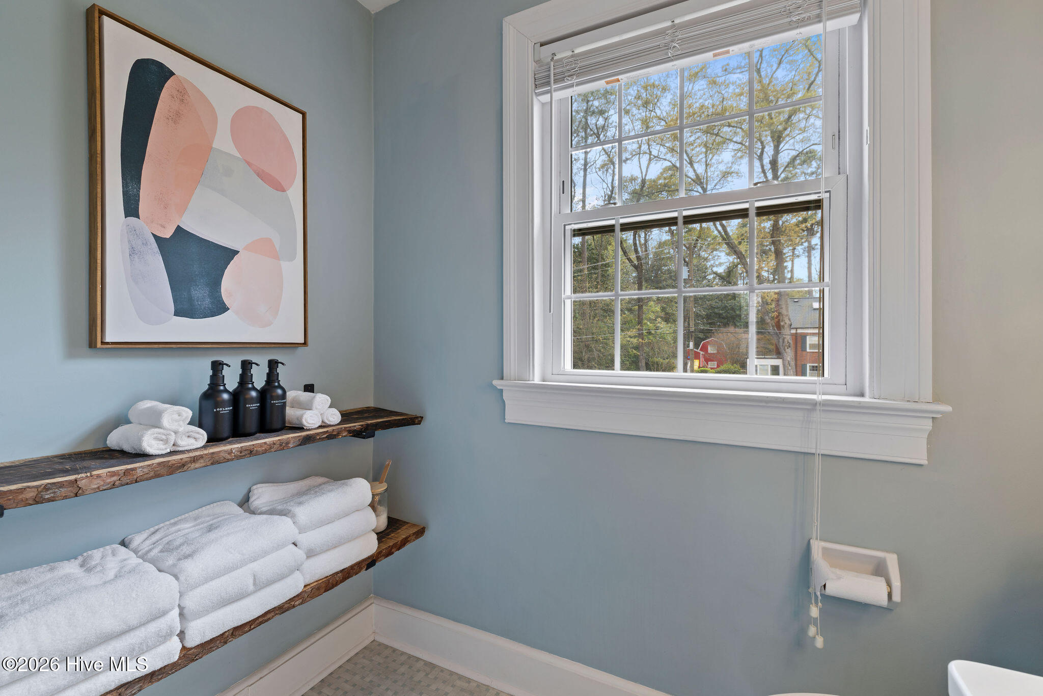 1507 E Mulberry Street Property Photo 51