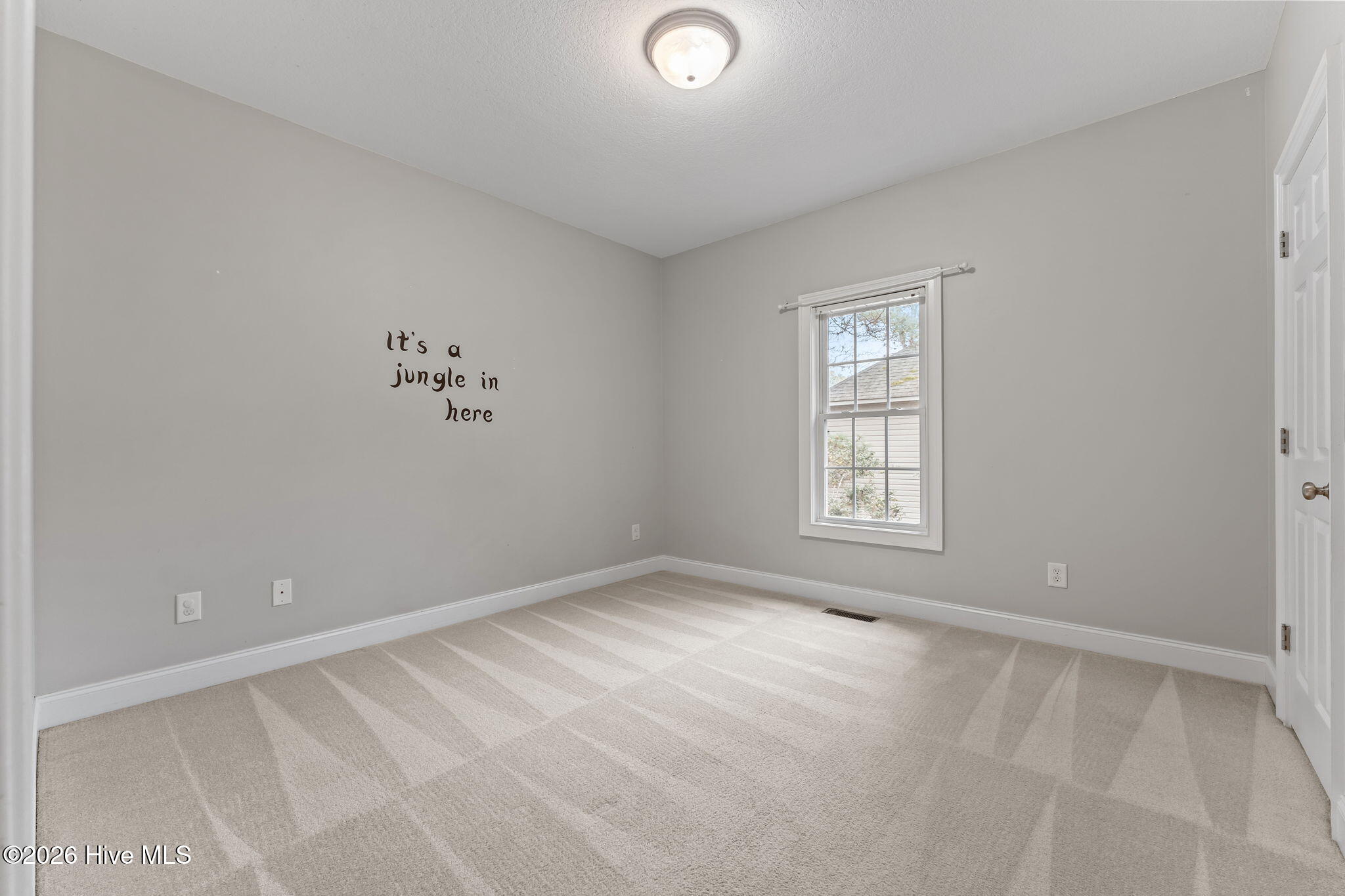 141 Longleaf Drive Property Photo 31