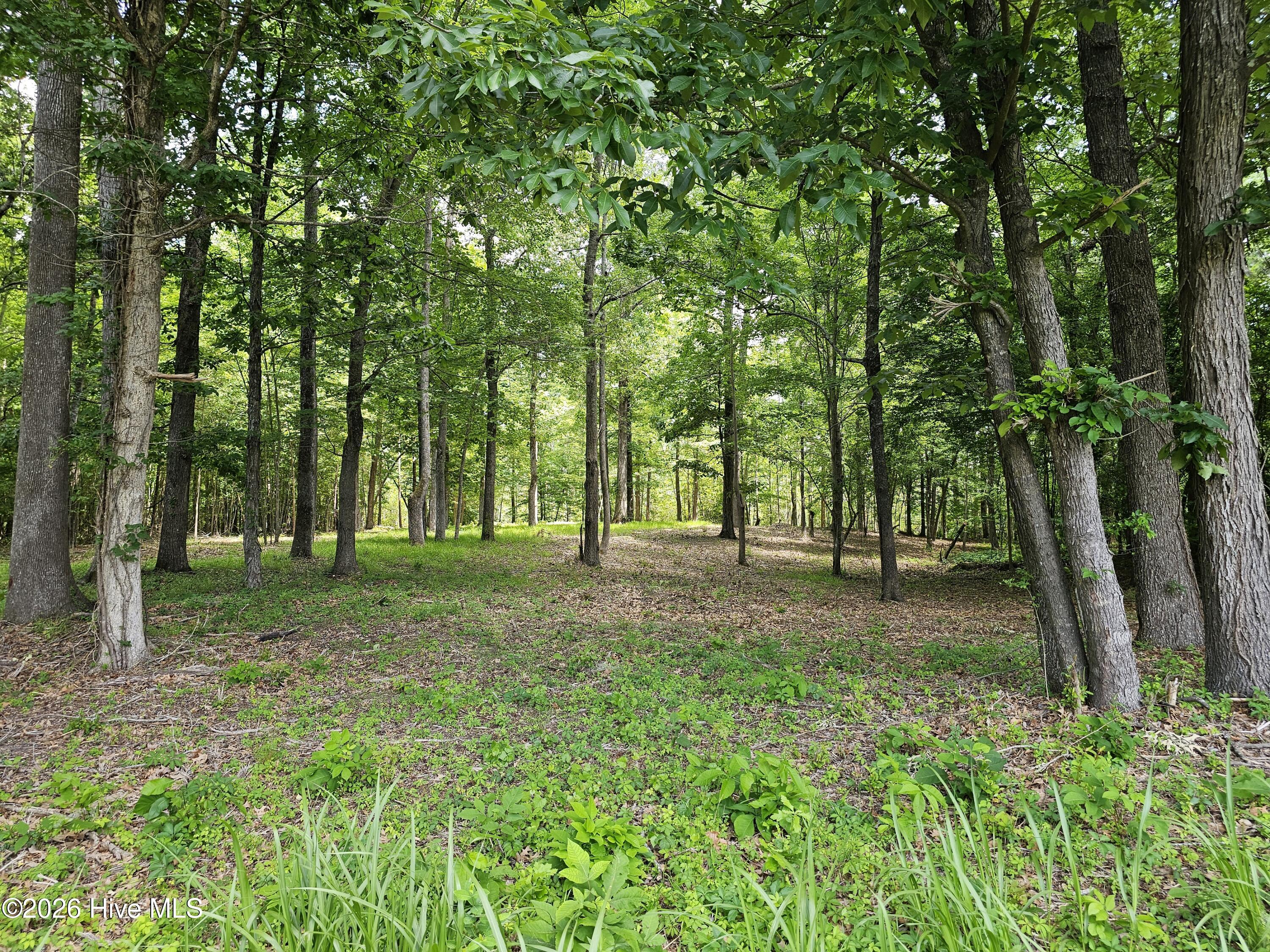 Lot 58 58 See View Lane Property Photo 2