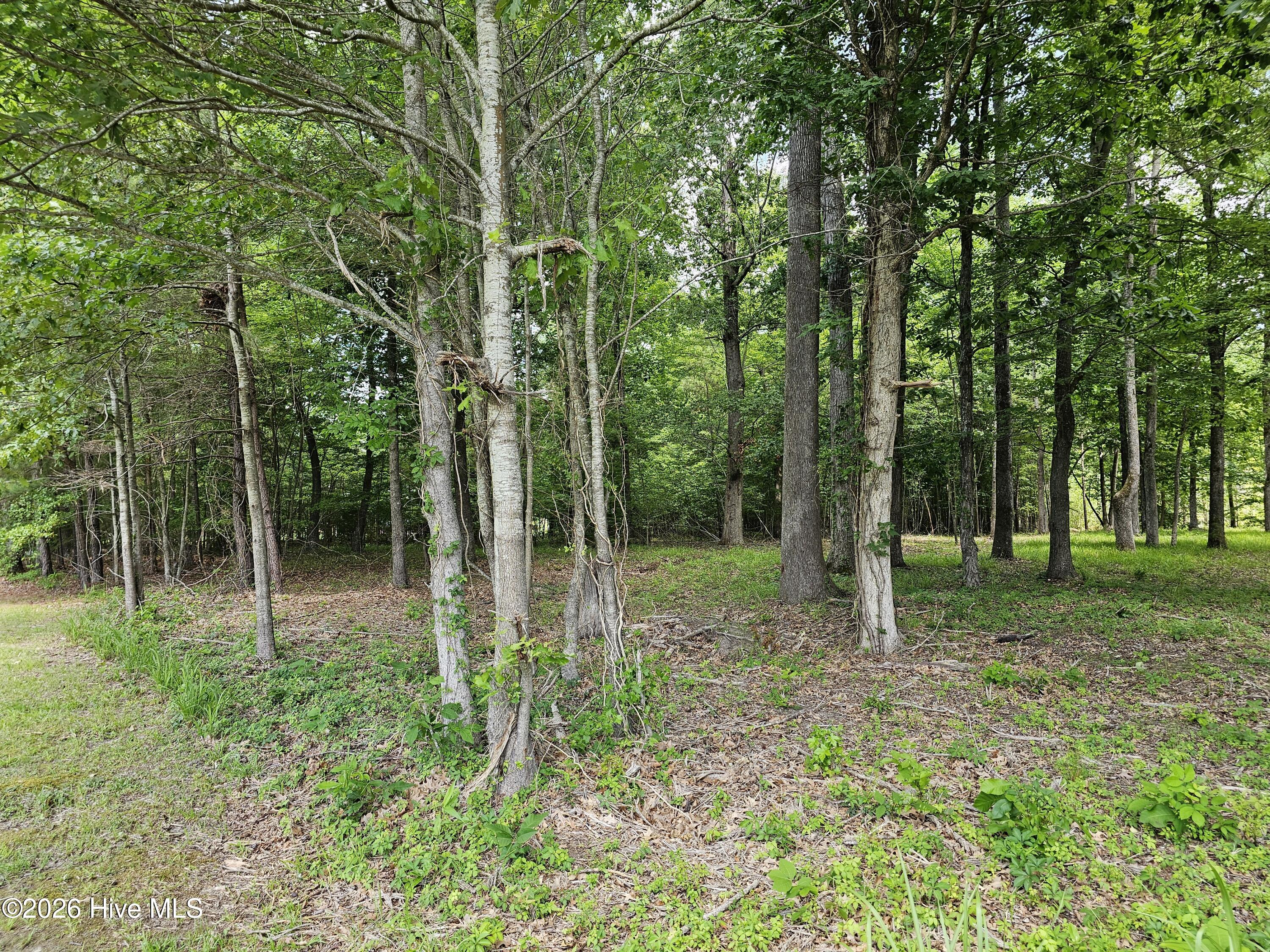Lot 58 58 See View Lane Property Photo 3