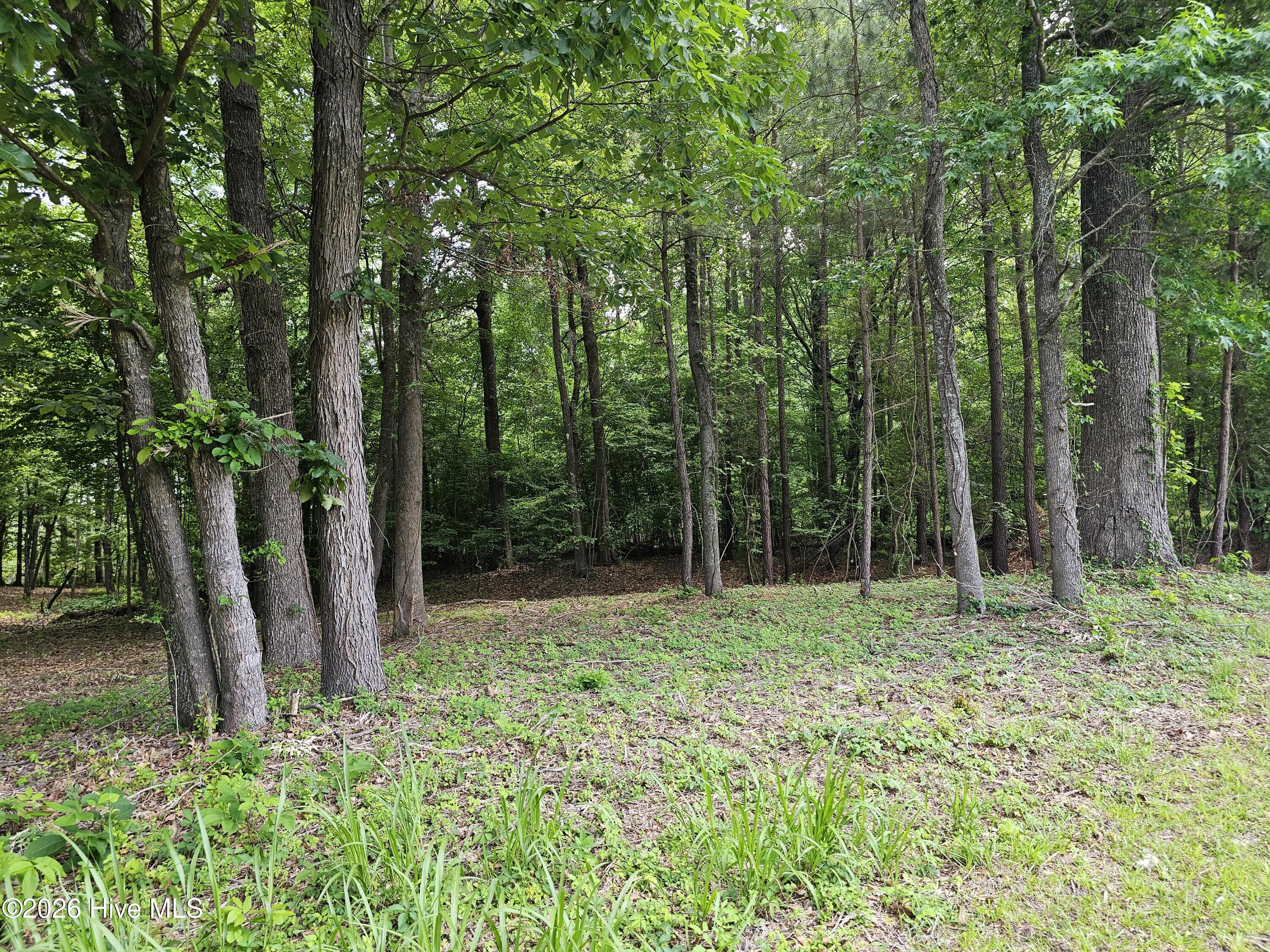 Lot 58 58 See View Lane Property Photo 4