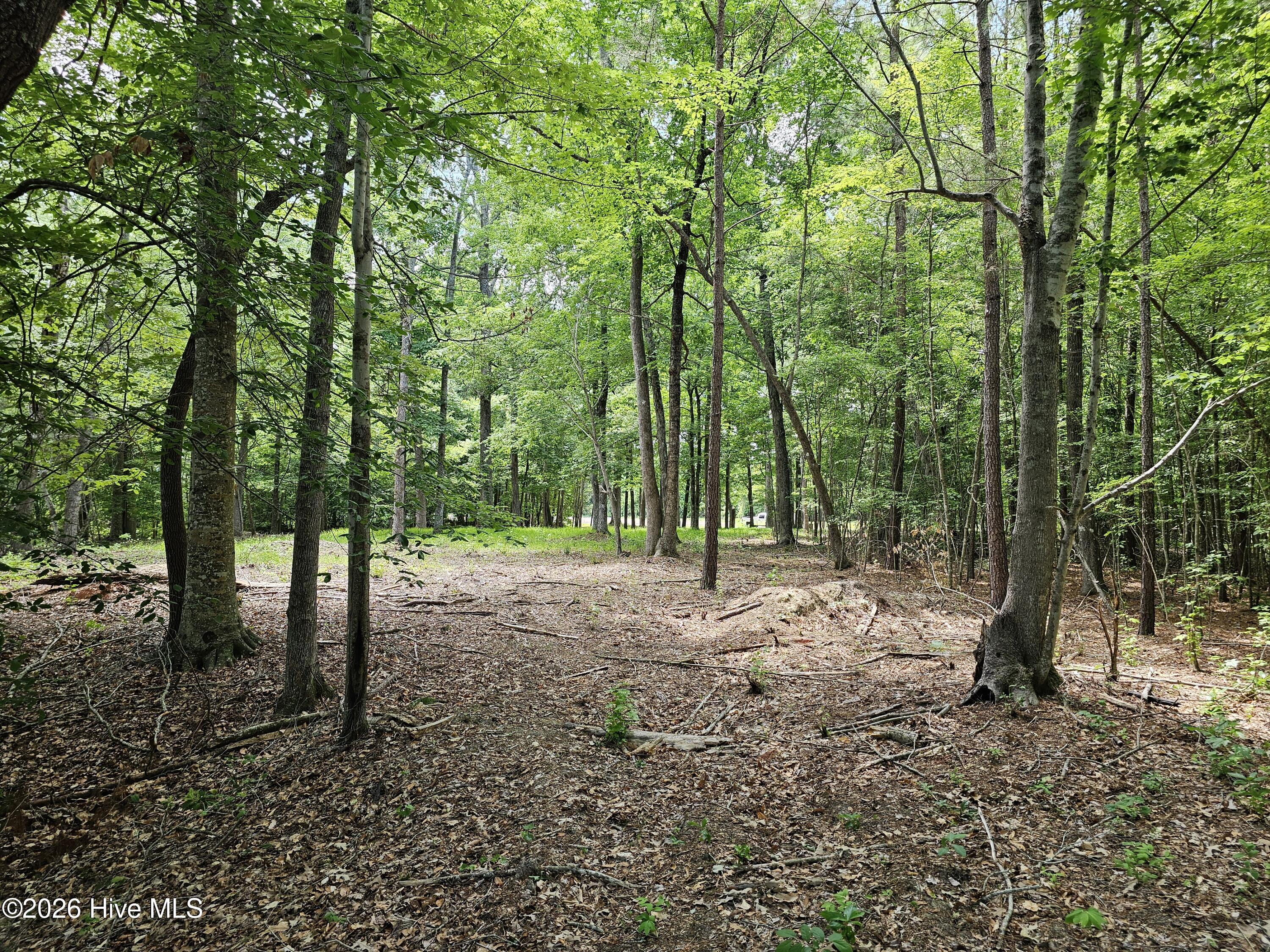 Lot 58 58 See View Lane Property Photo 5