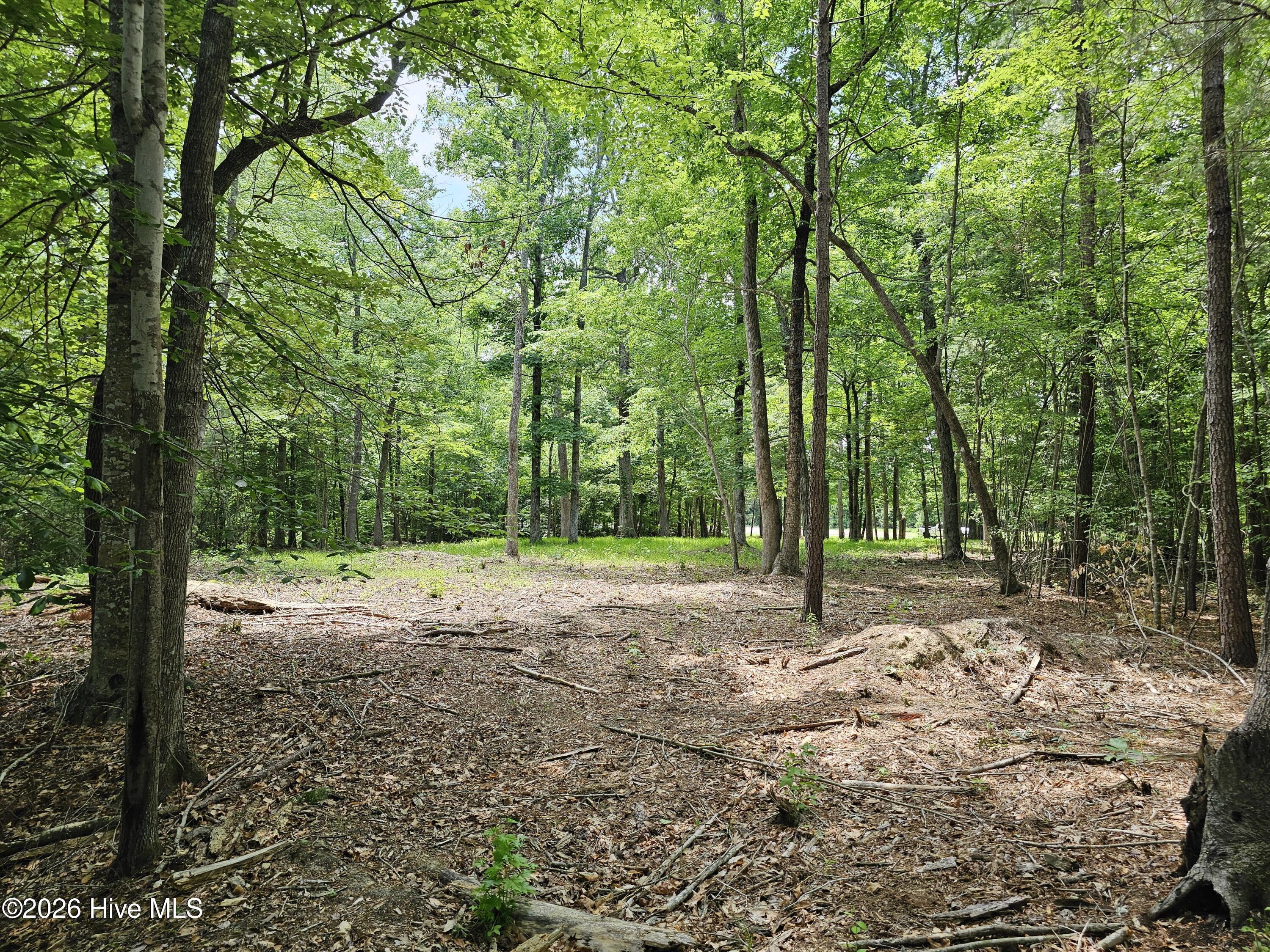 Lot 58 58 See View Lane Property Photo 6