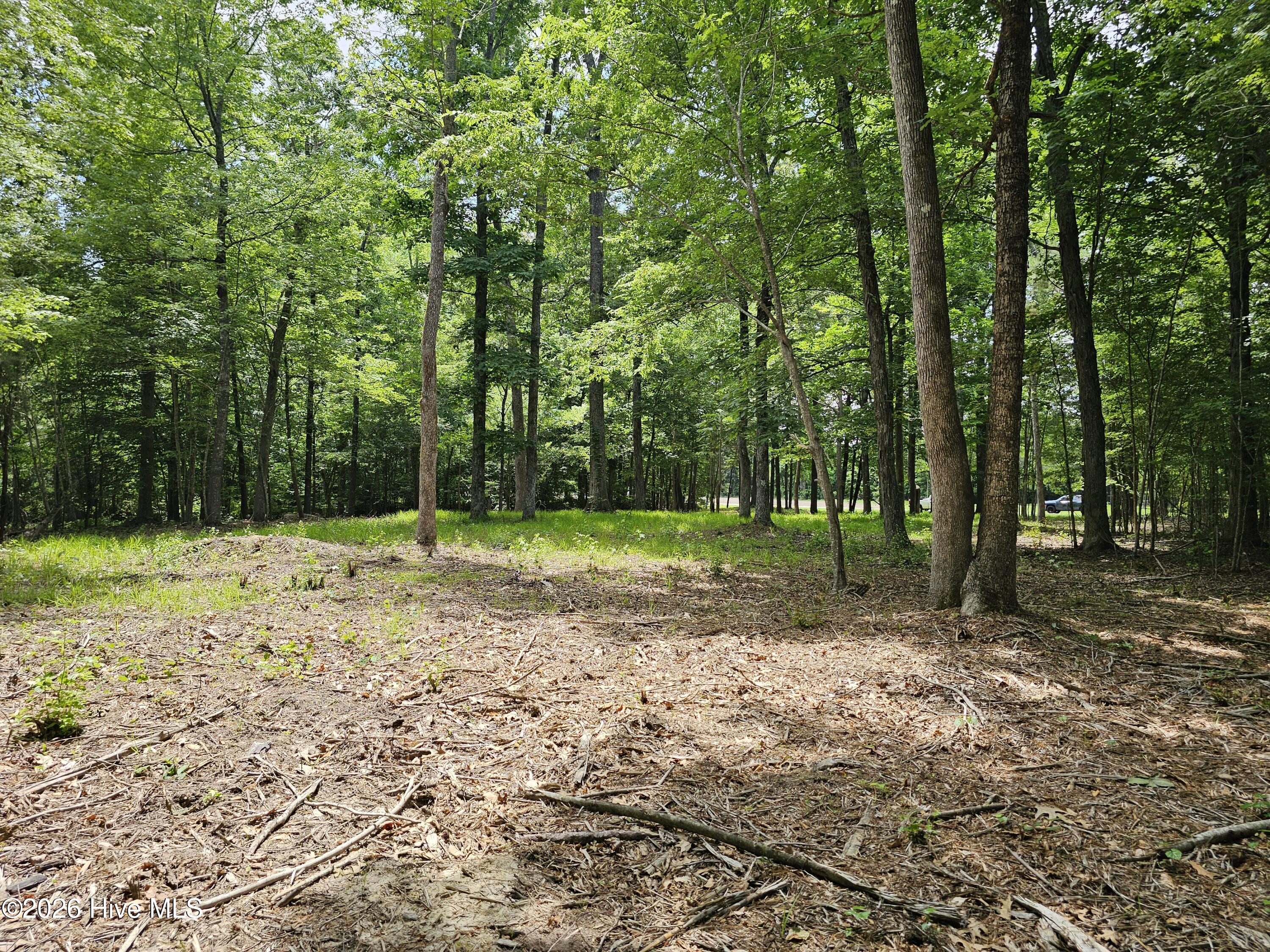 Lot 58 58 See View Lane Property Photo 7
