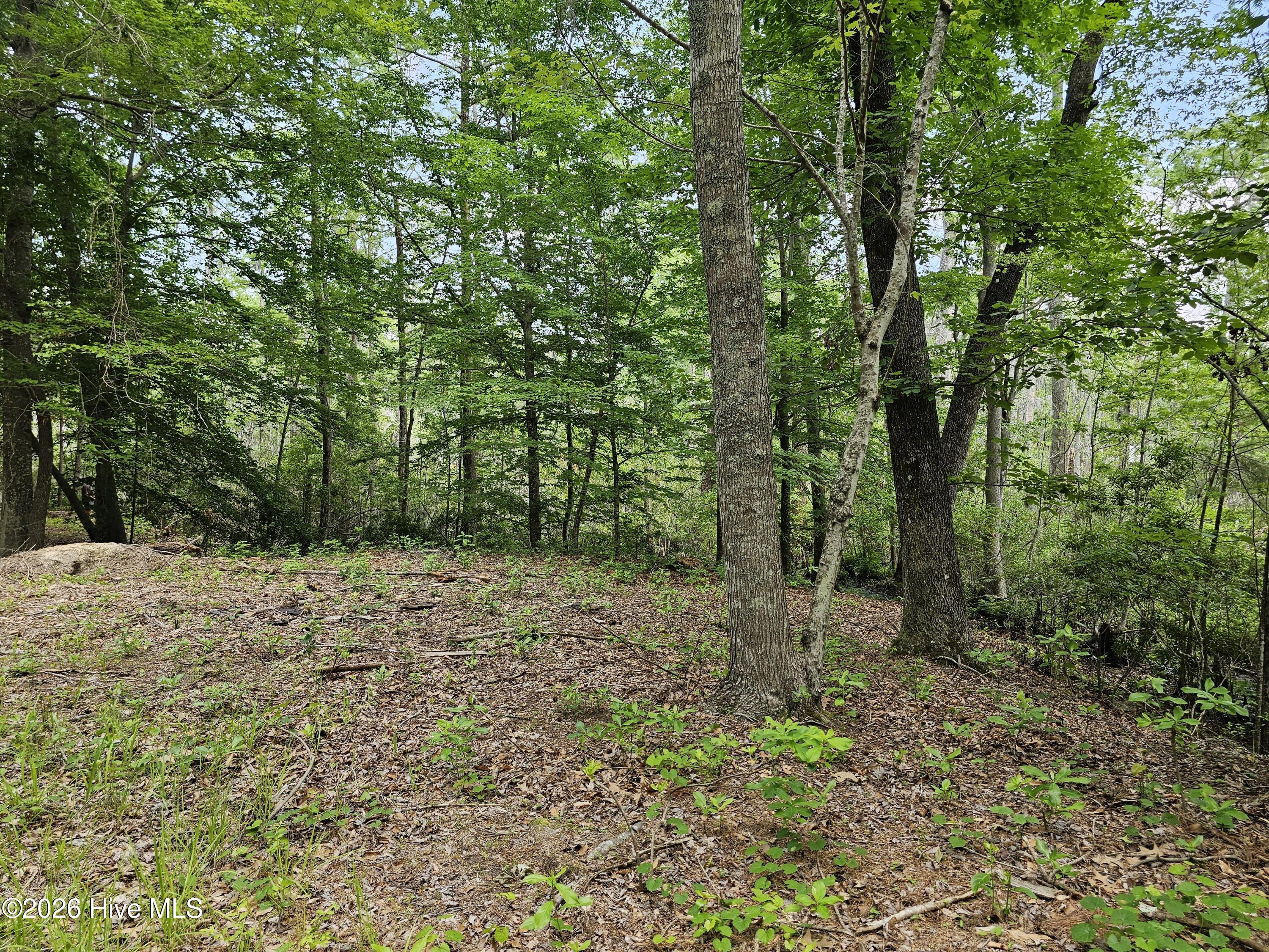 Lot 58 58 See View Lane Property Photo 8