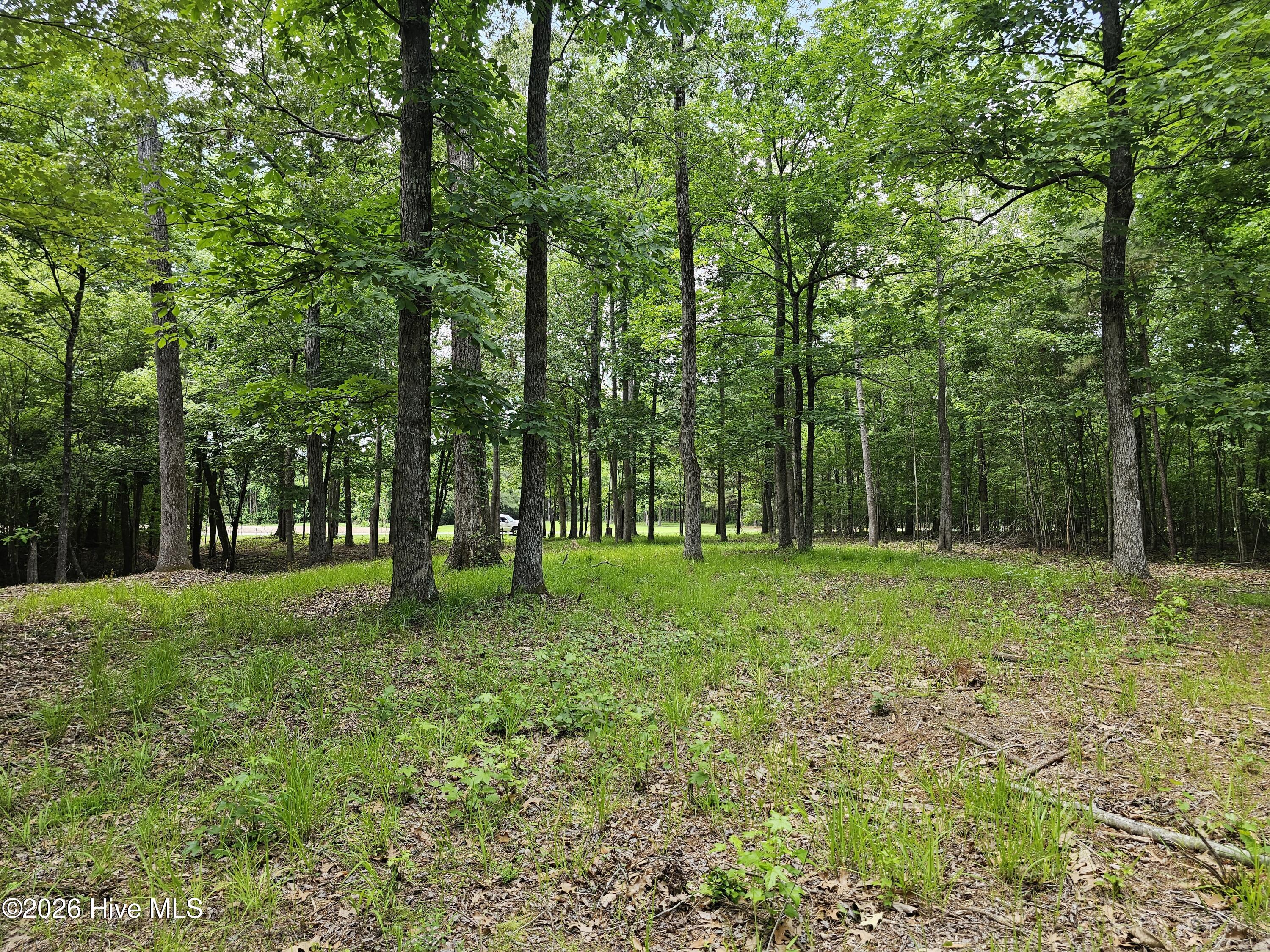 Lot 58 58 See View Lane Property Photo 9