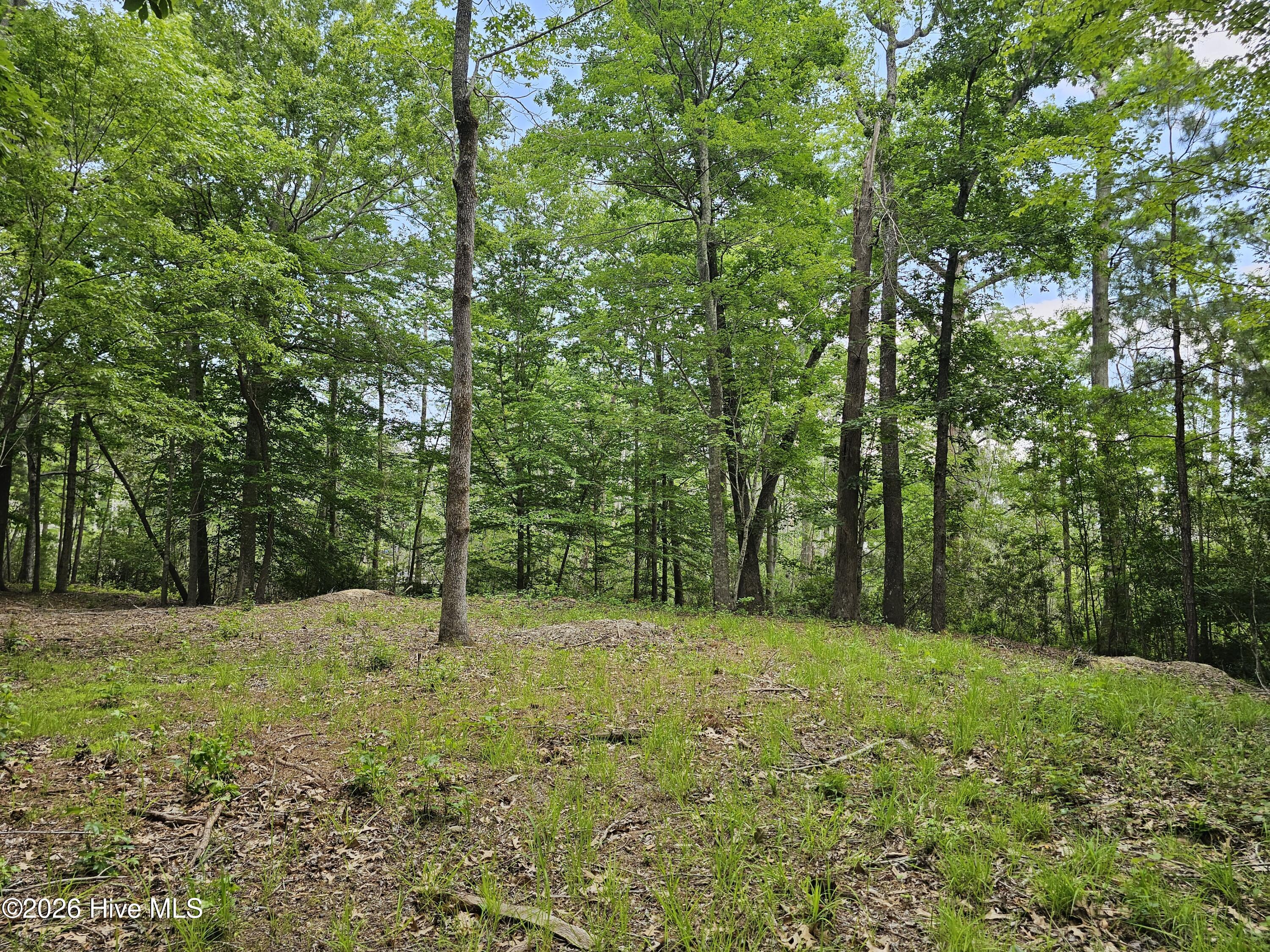 Lot 58 58 See View Lane Property Photo 10