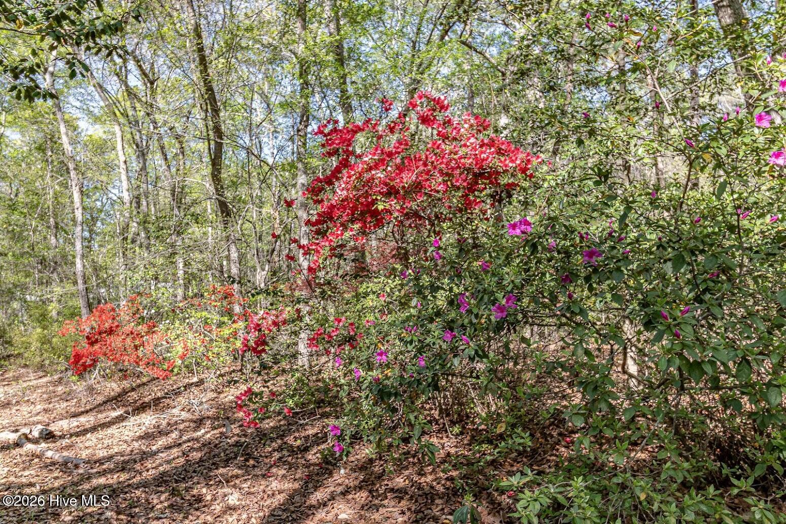 345 Rock Road Property Photo 4