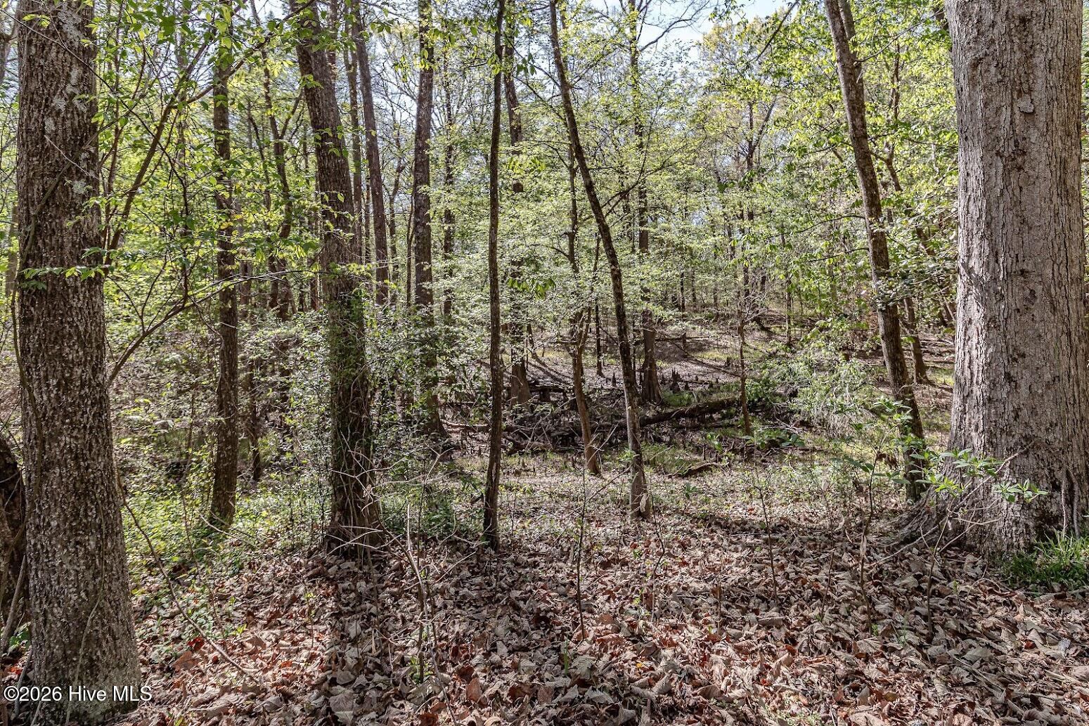 345 Rock Road Property Photo 28