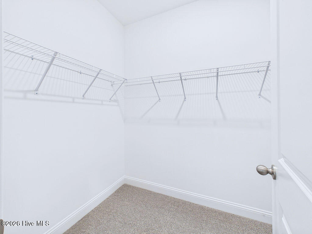 209 Telluride Court Property Photo 18