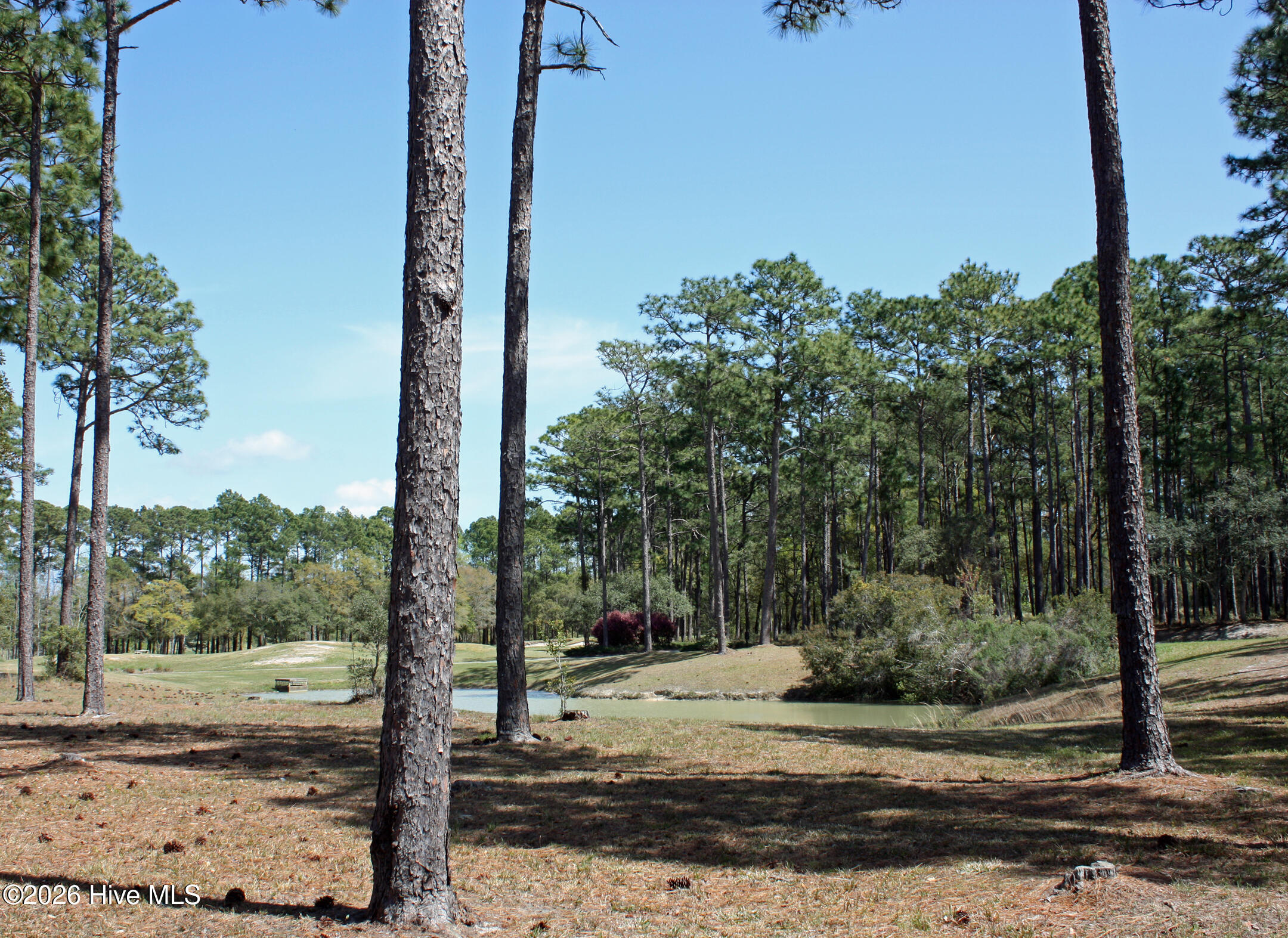 575 39 Morely Circle Sw Property Photo 4