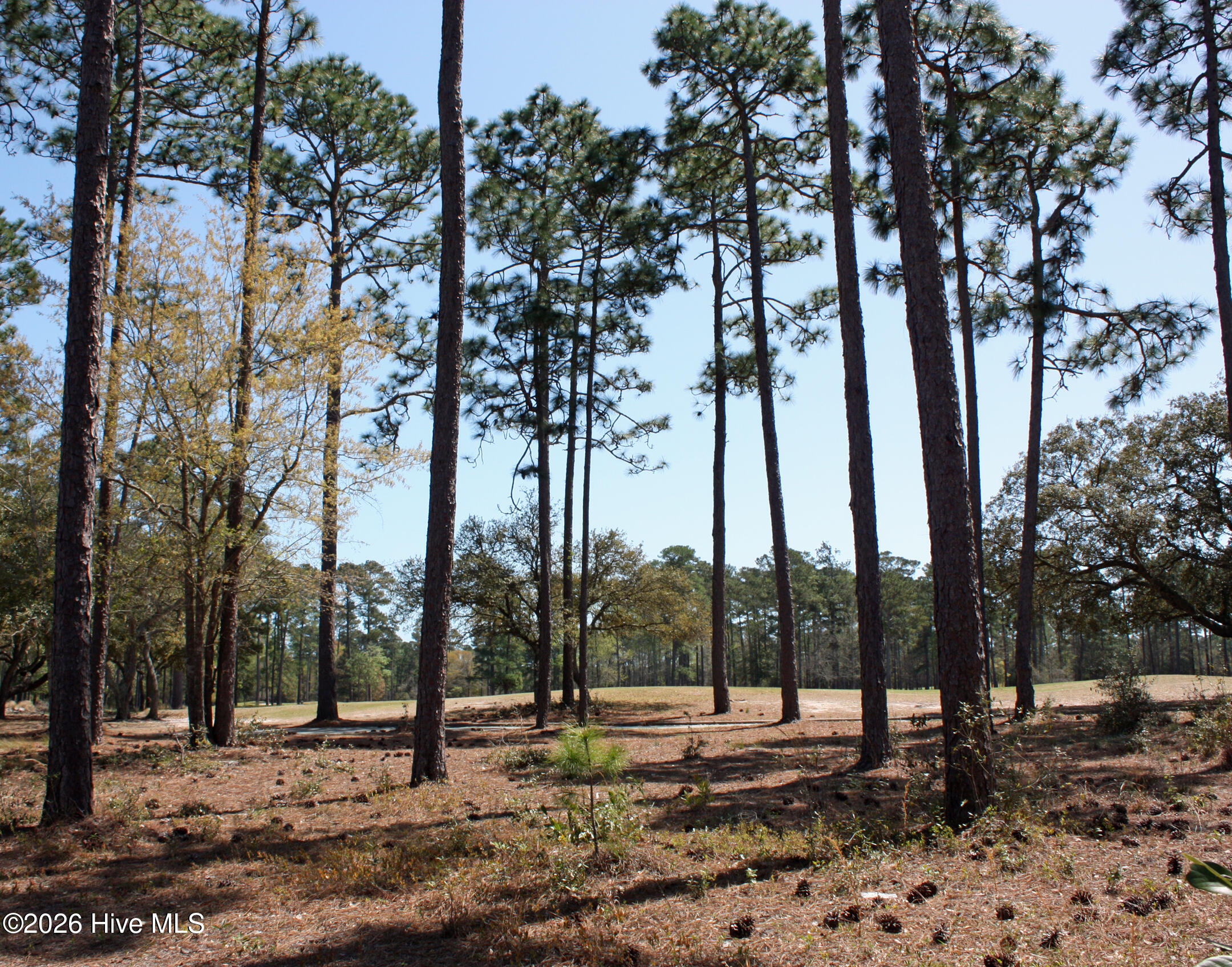 575 39 Morely Circle Sw Property Photo 7