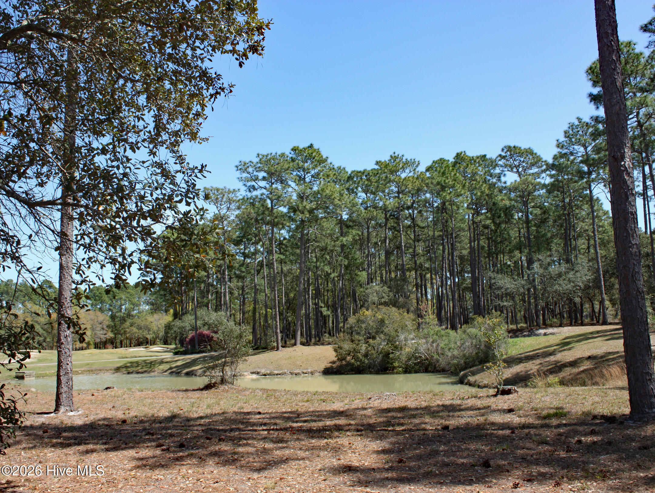 575 39 Morely Circle Sw Property Photo 8