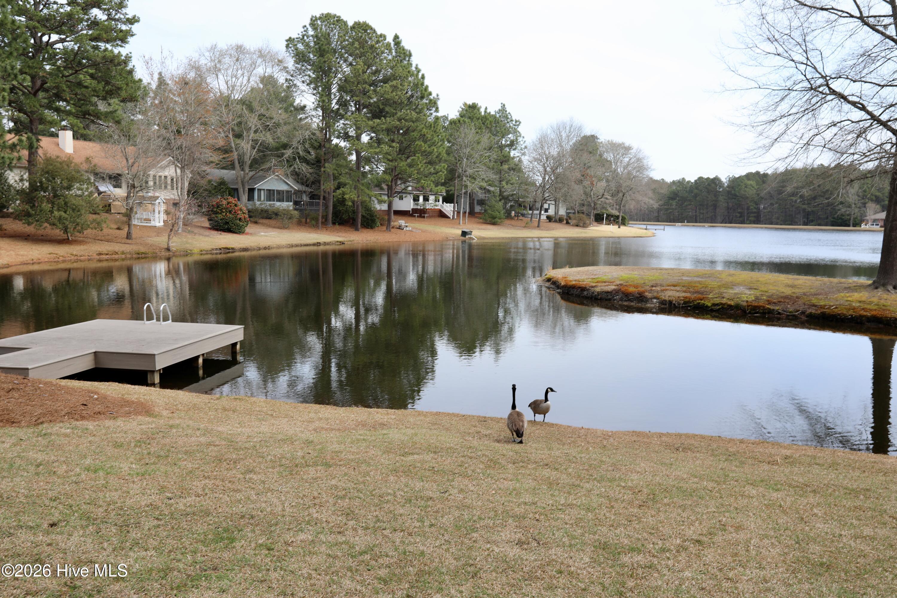 116 Shagbark Court Property Photo 19