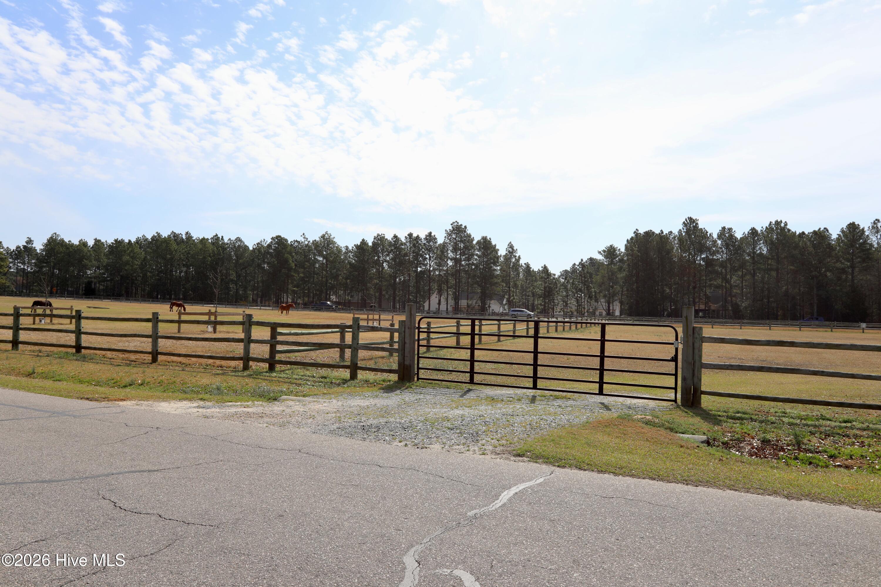 116 Shagbark Court Property Photo 85