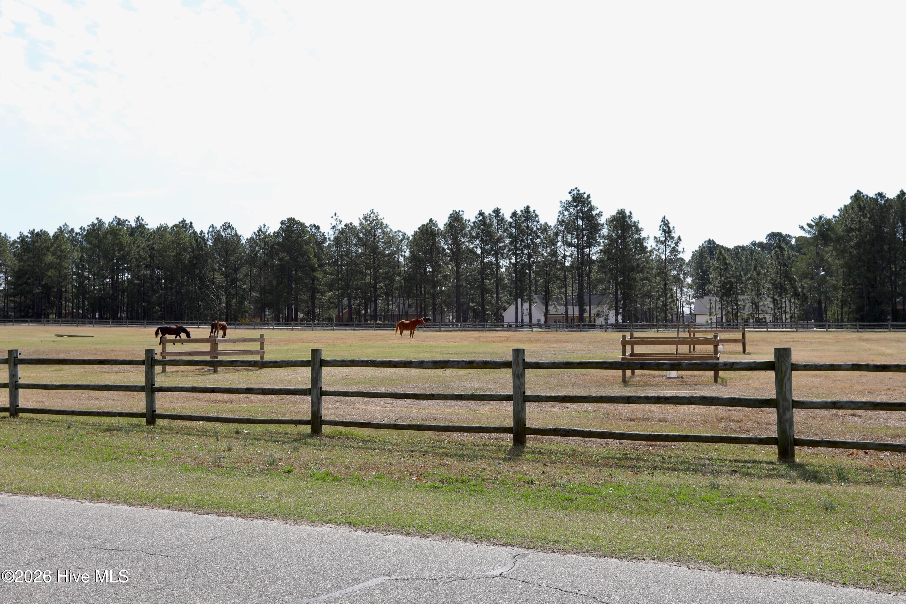 116 Shagbark Court Property Photo 88
