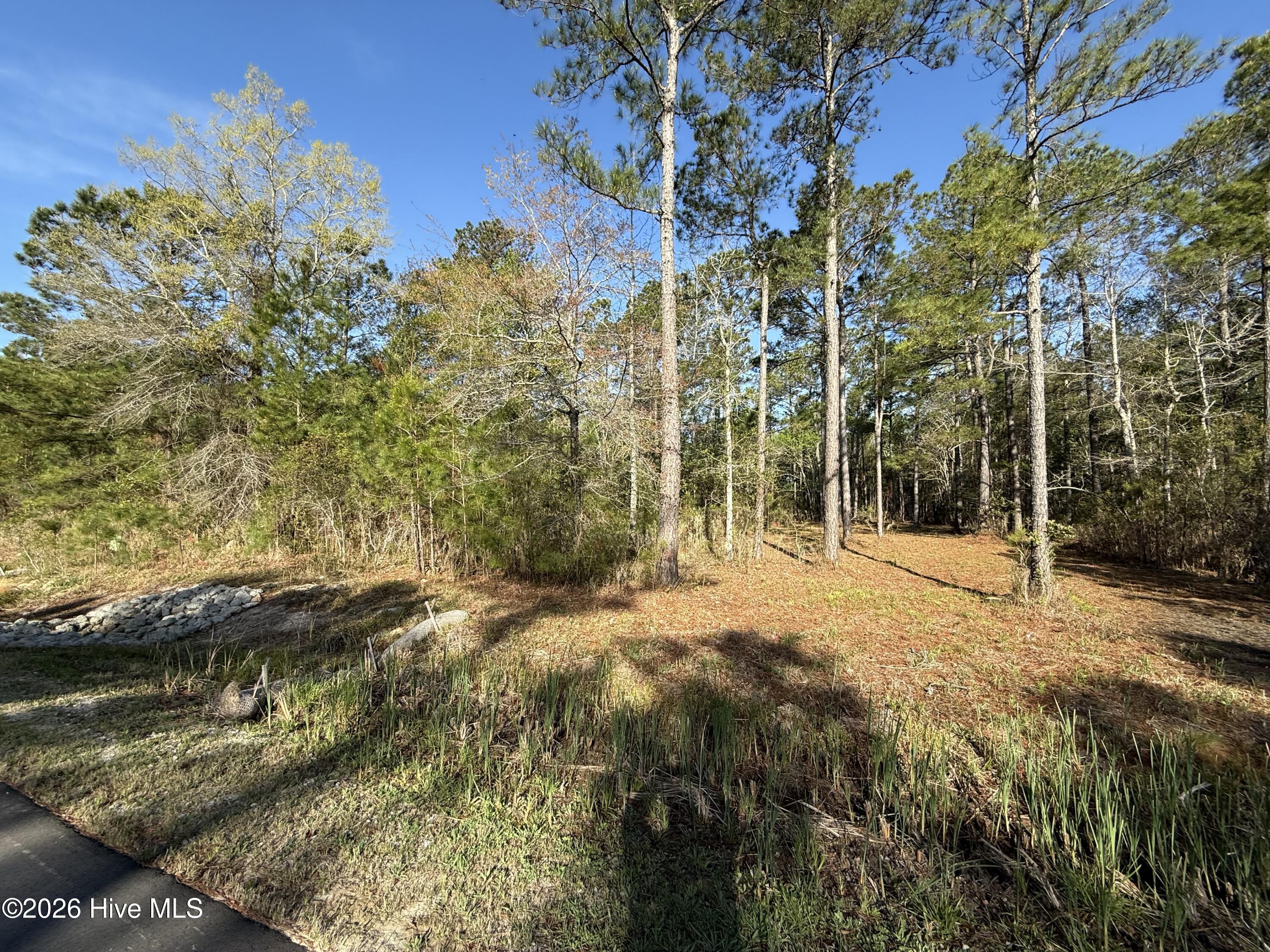 125 14 Shell Castle Lane Property Photo 3