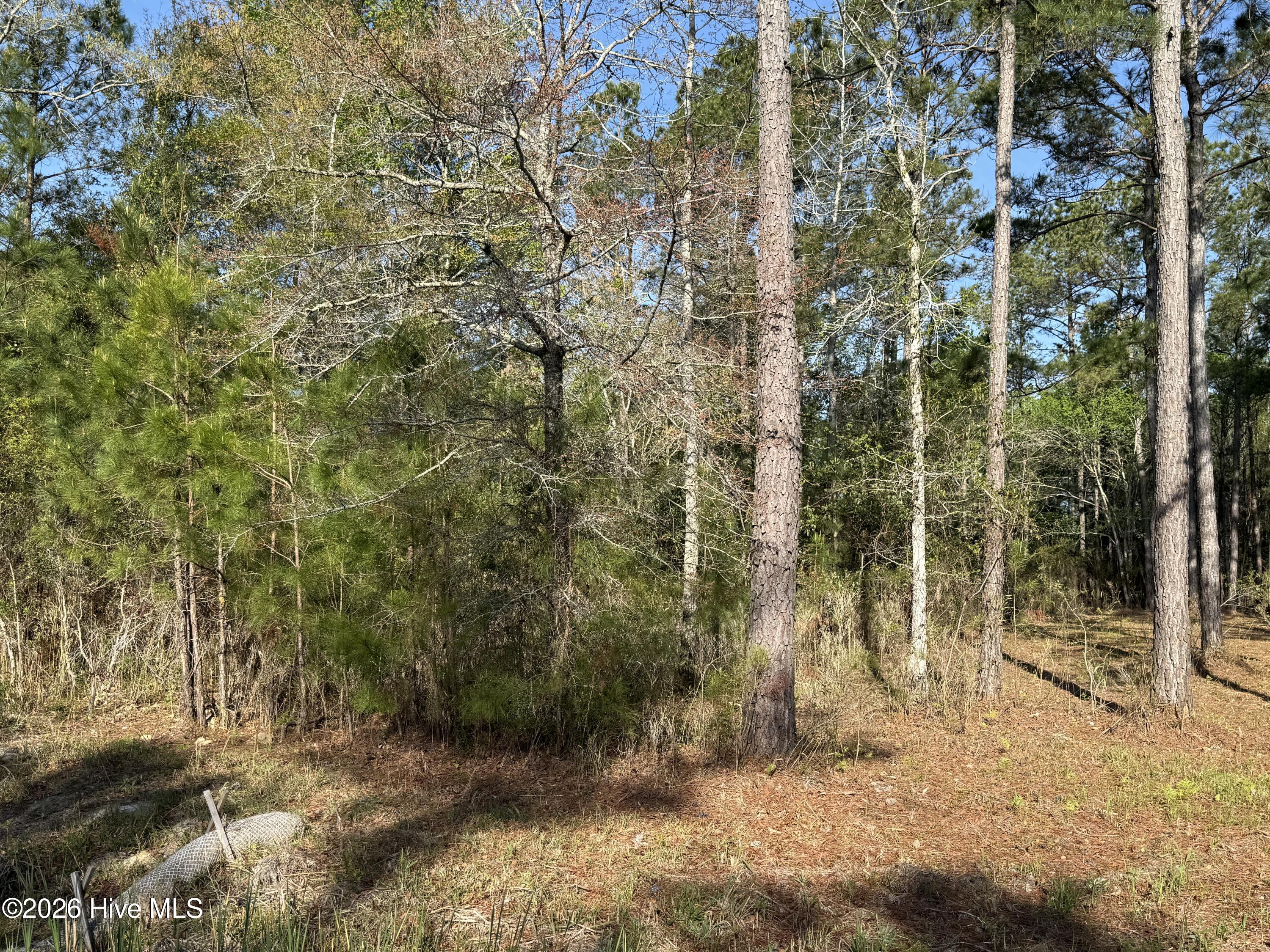 125 14 Shell Castle Lane Property Photo 4