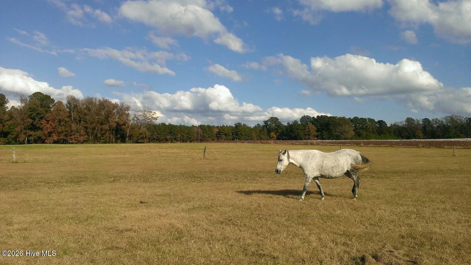 2639 Nc Highway 211 Property Photo 17