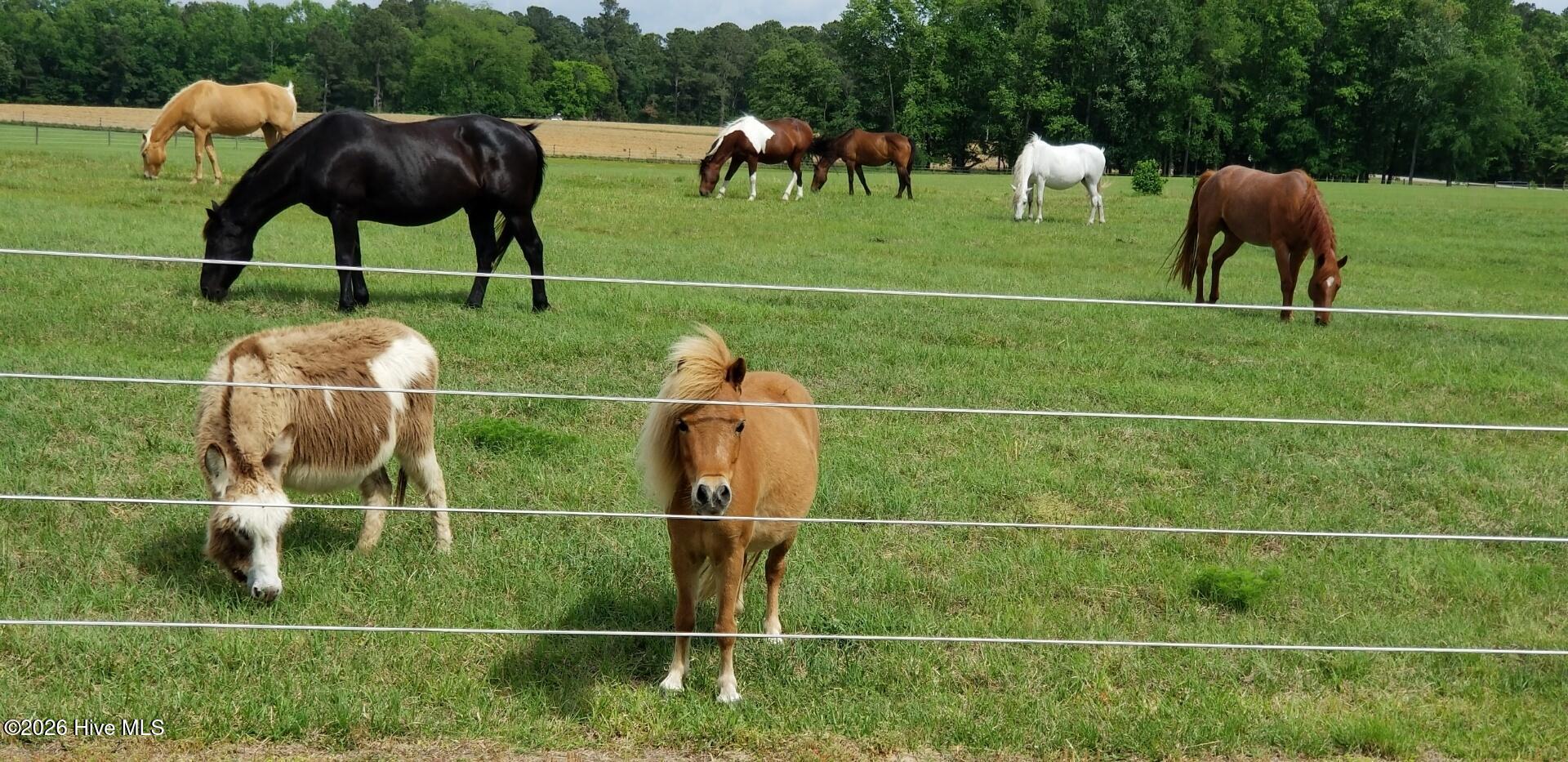 2639 Nc Highway 211 Property Photo 20
