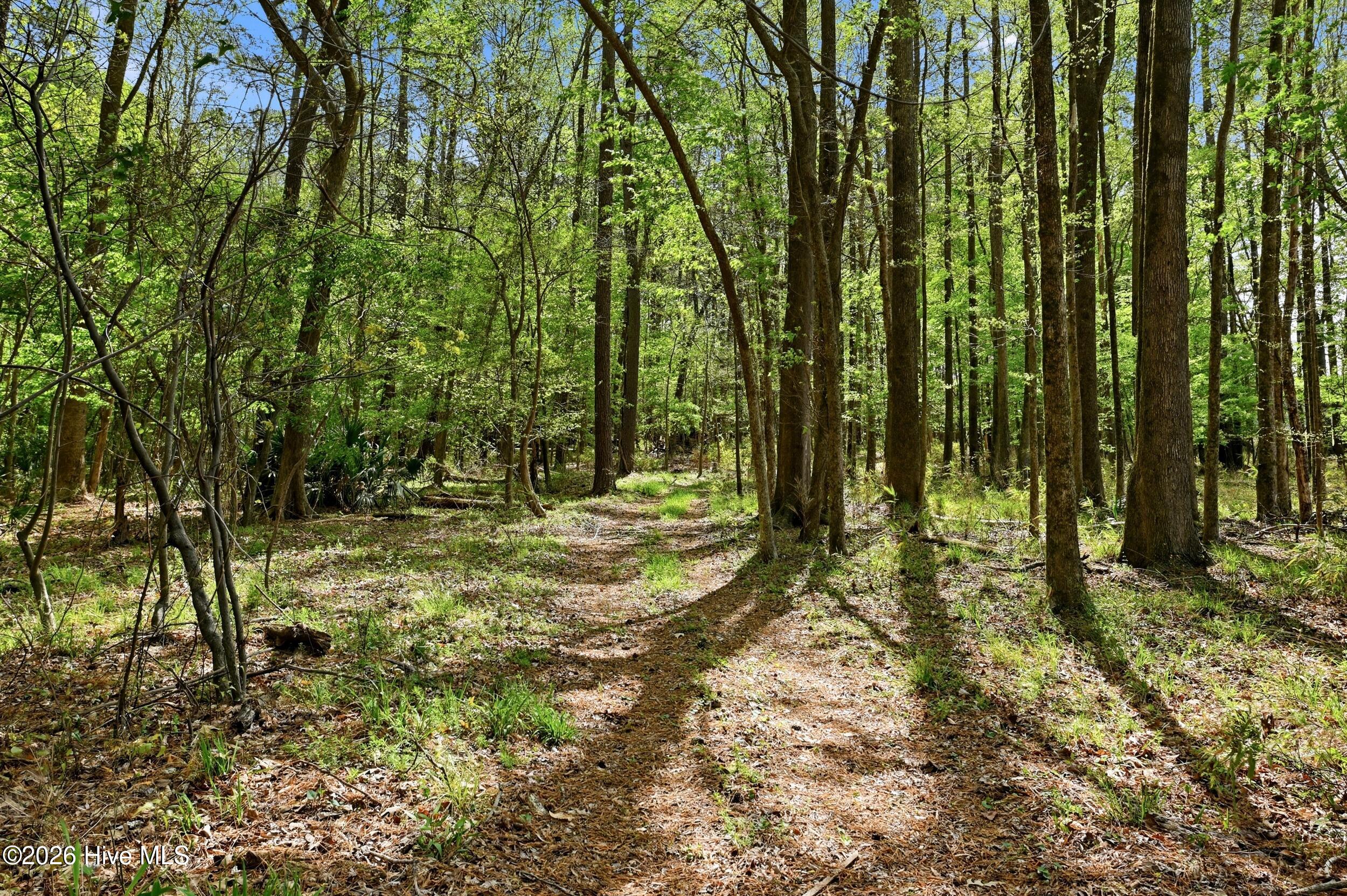 2639 Nc Highway 211 Property Photo 84