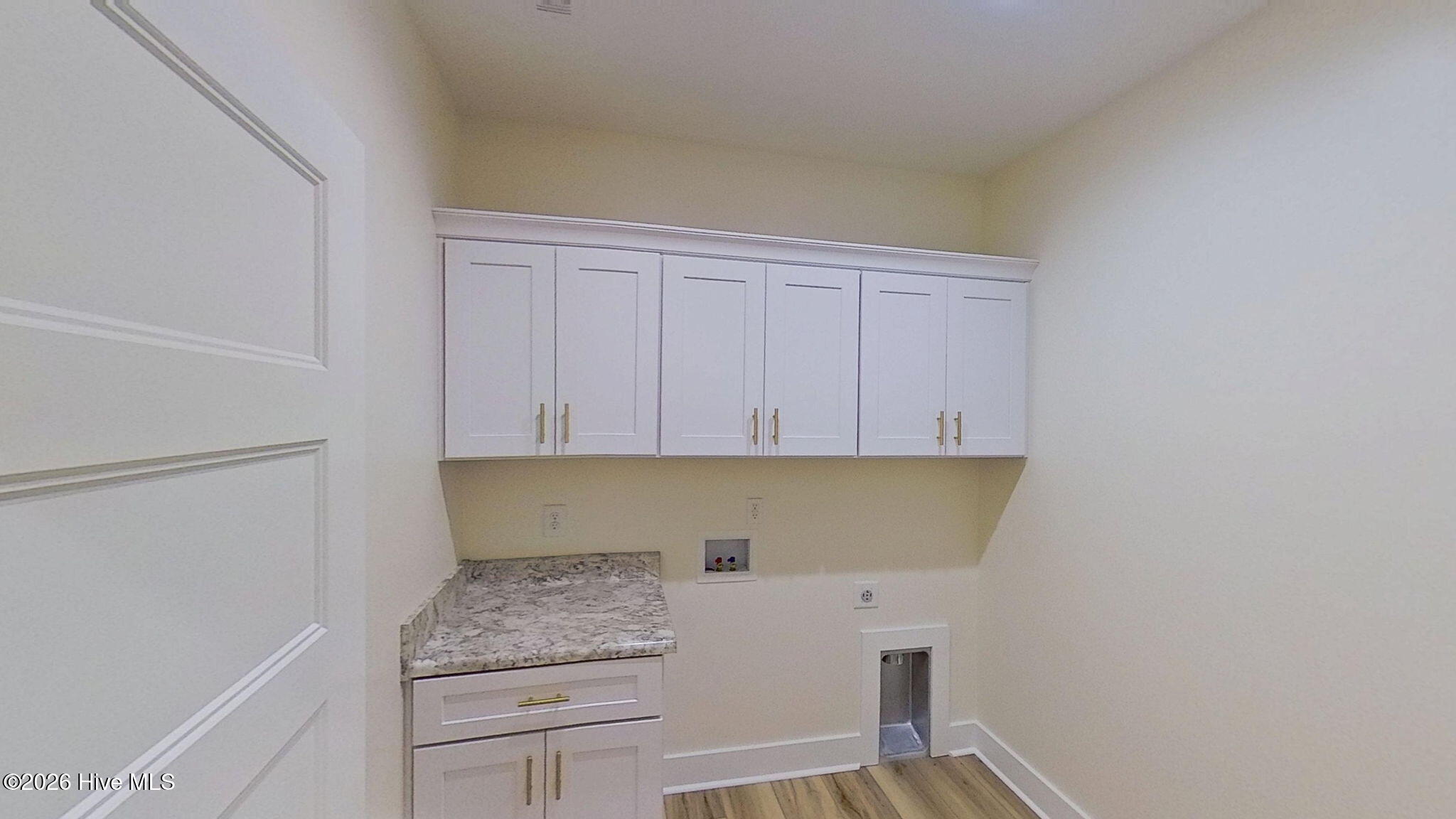 1001 Ecru Circle Property Photo 43