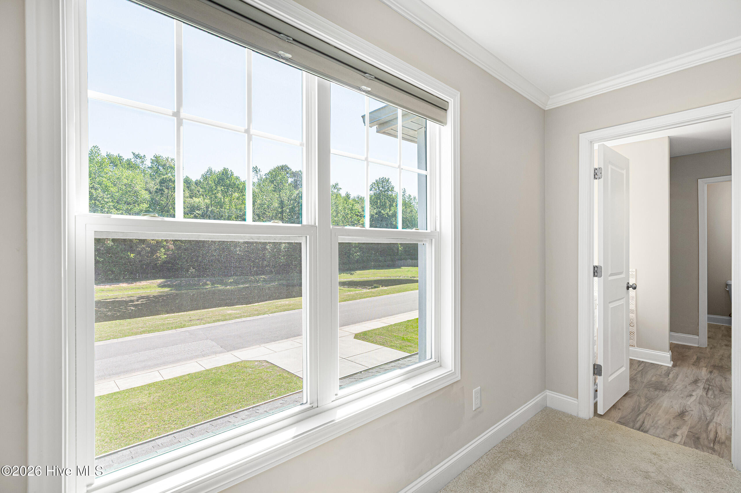 411 Jasmine Way Property Photo 21