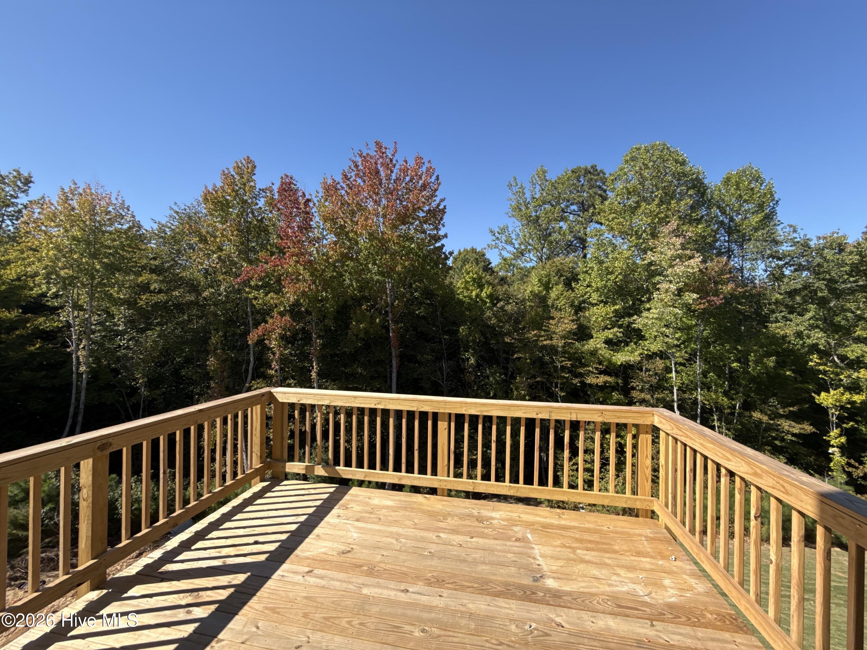 113 Cinnabar Street Property Photo 17