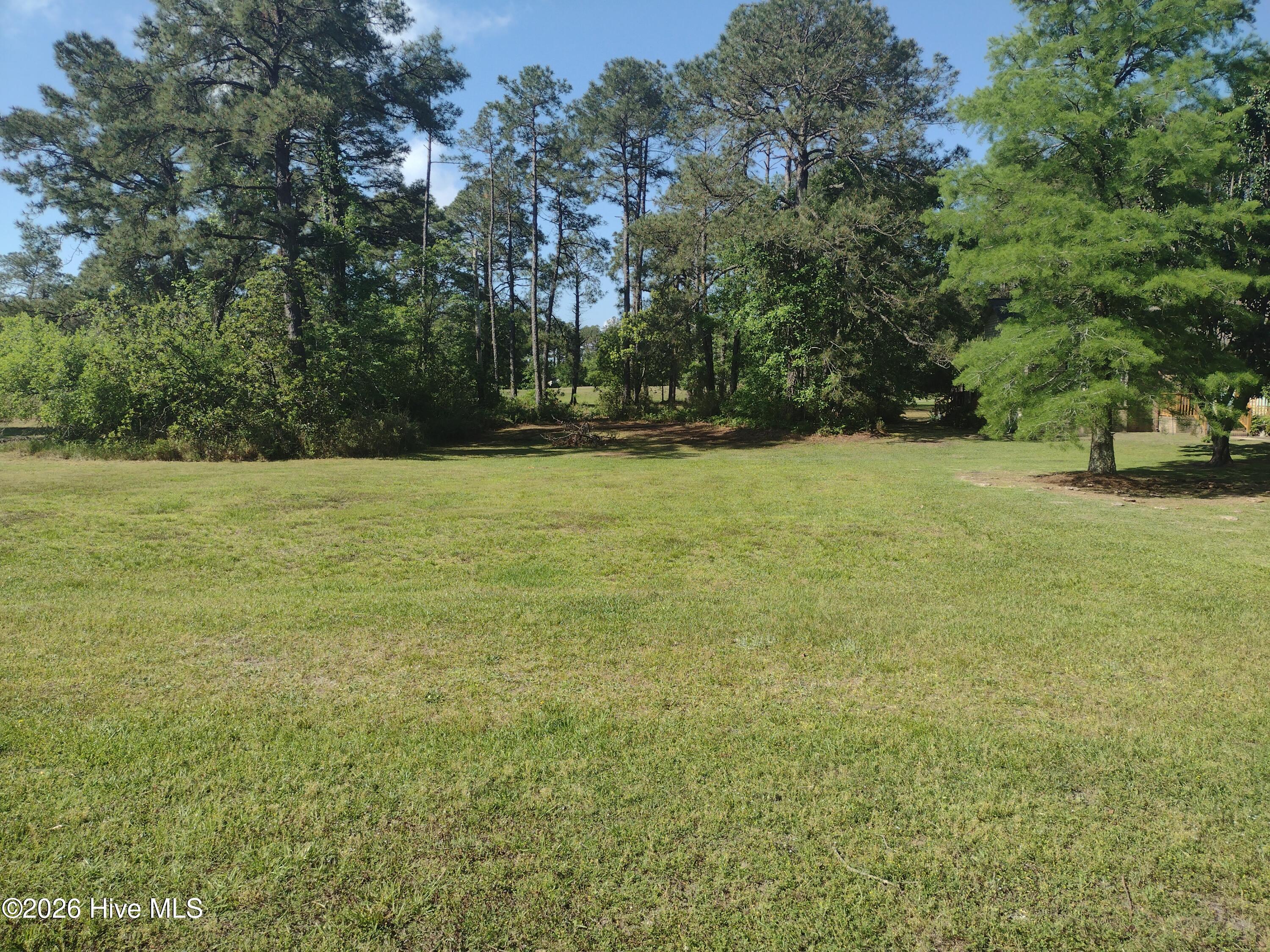 1733 Caracara Drive Property Photo 2