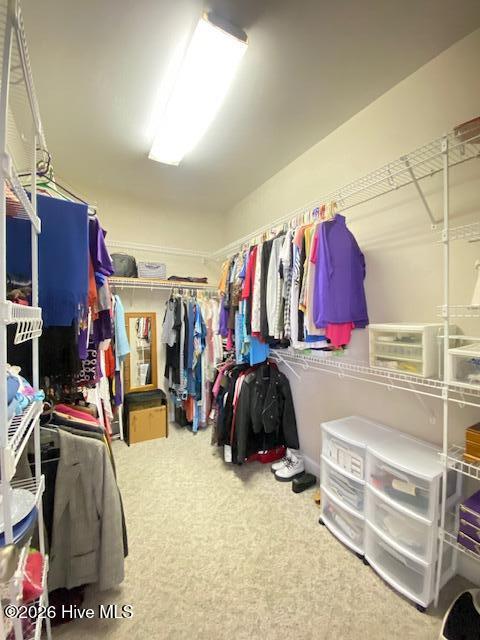 215 Ellington Way Property Photo 17