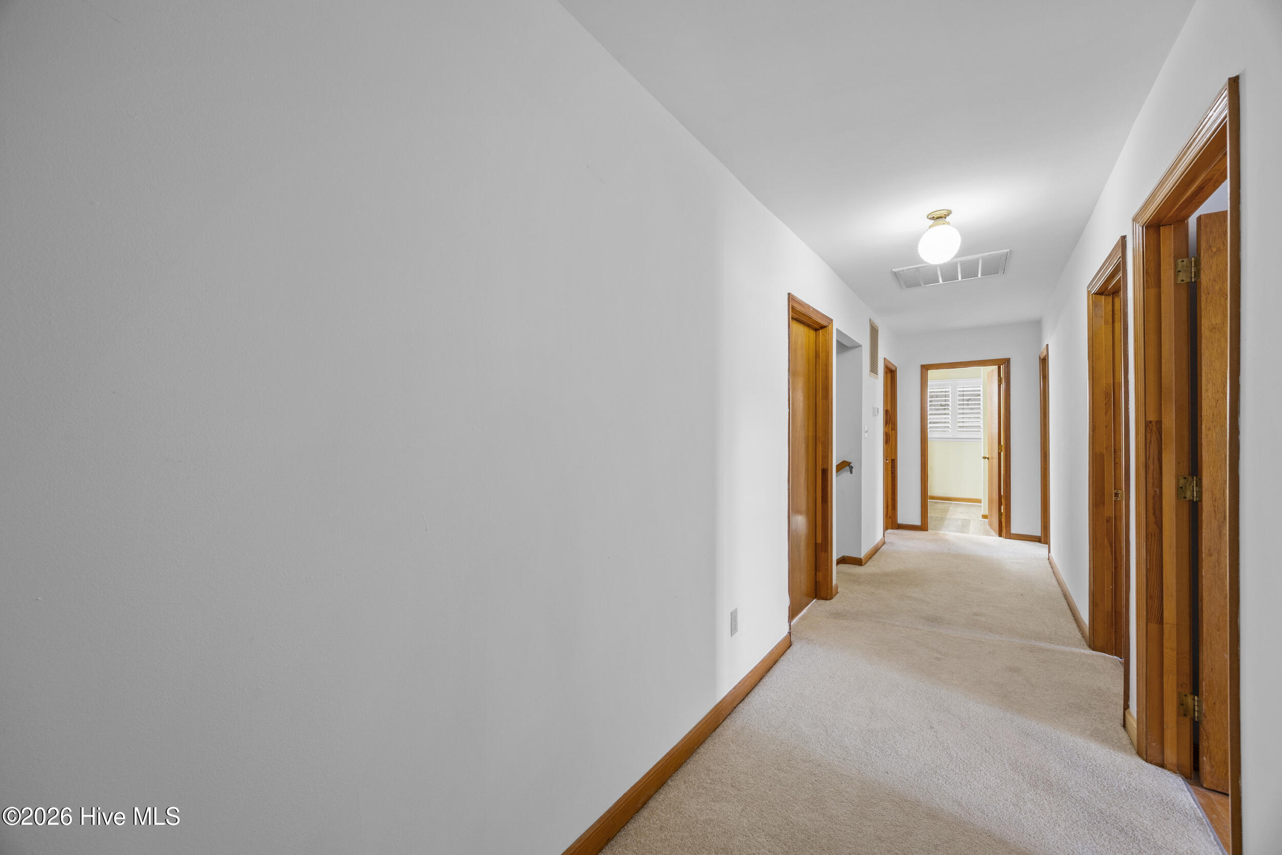 301 Dewitt Street Property Photo 19