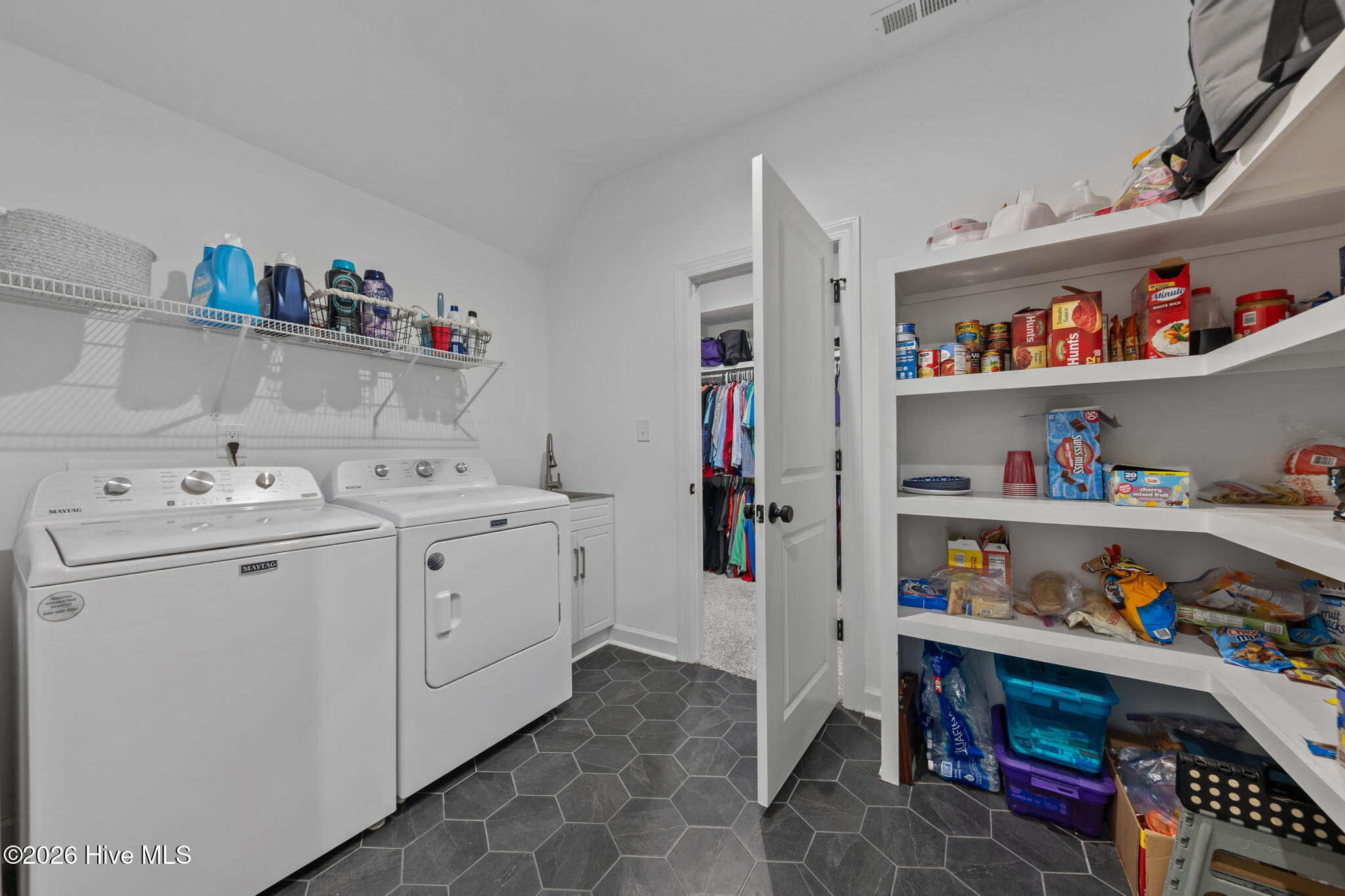 30220 W Lake Drive Property Photo 19