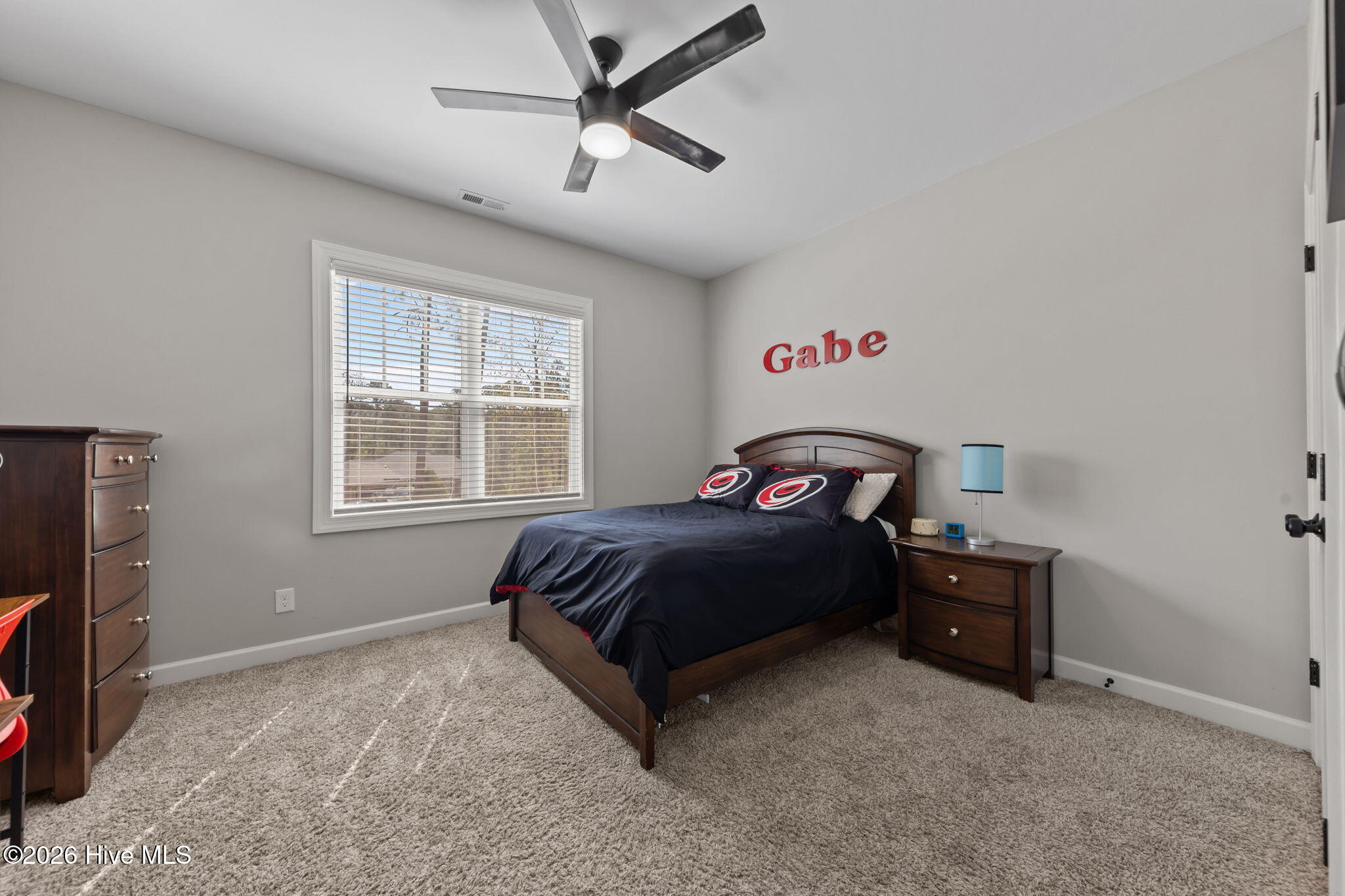 30220 W Lake Drive Property Photo 19
