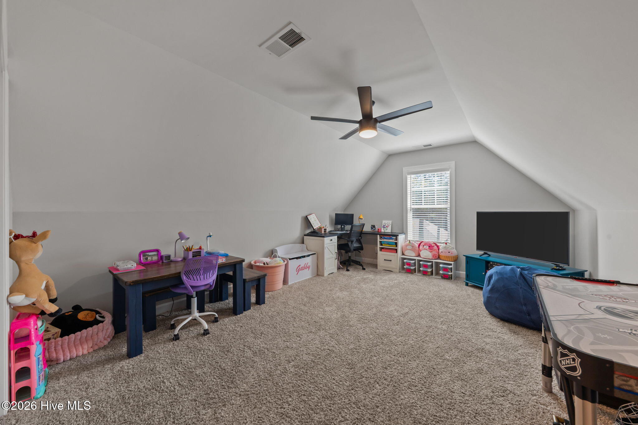 30220 W Lake Drive Property Photo 20