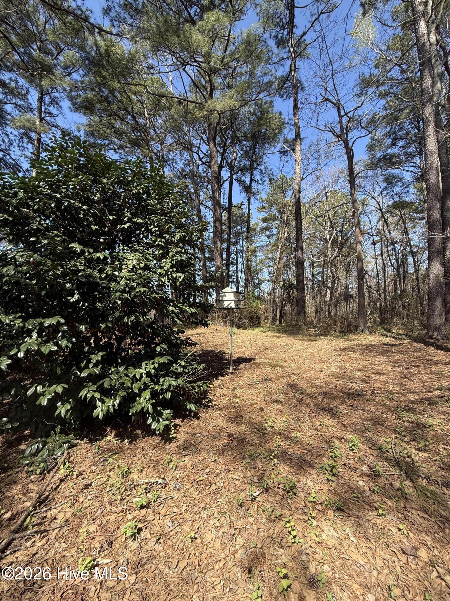 6484 Prison Camp Road Property Photo 11