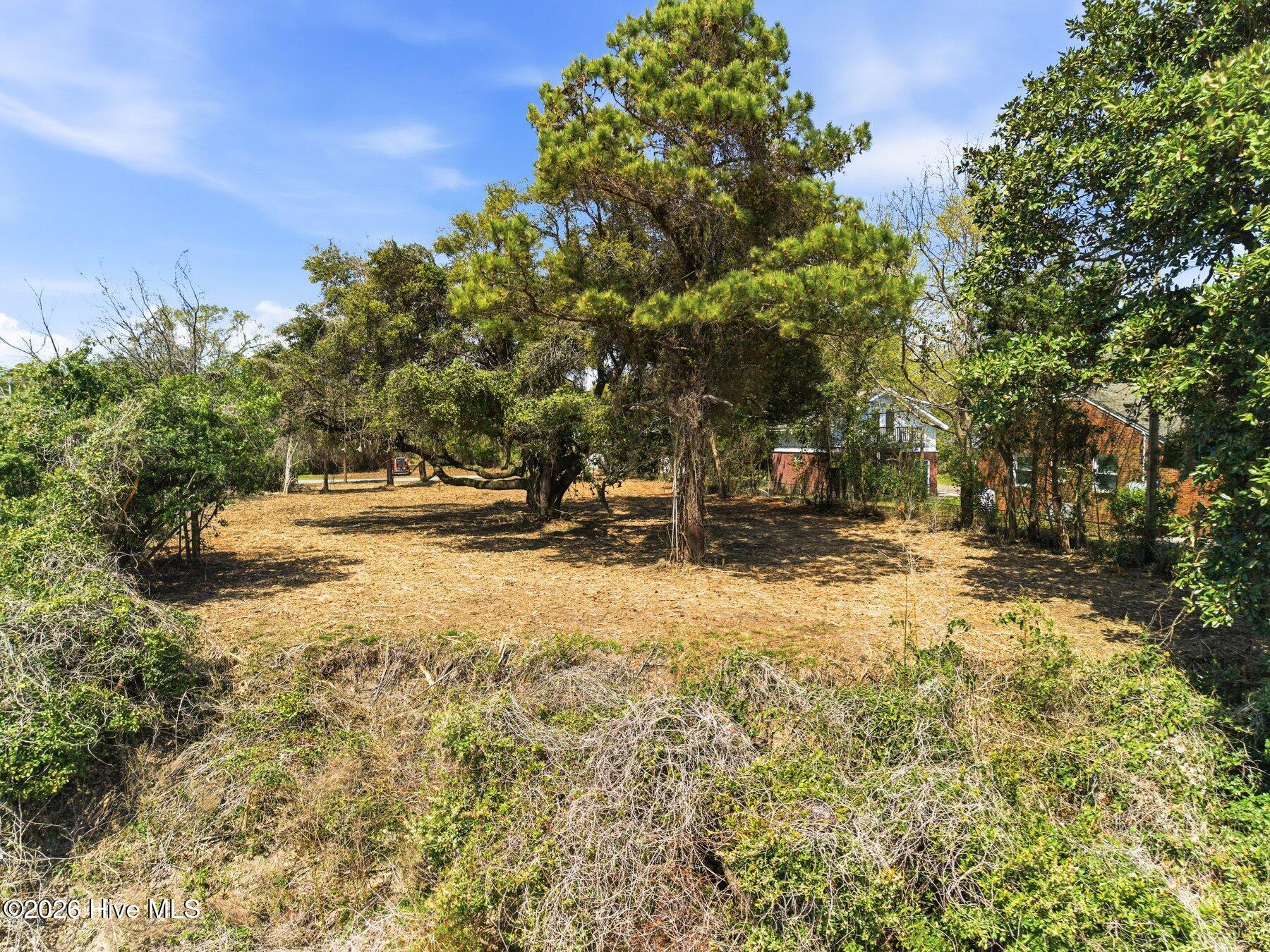 8612 Bald Eagle Lane Property Photo 21