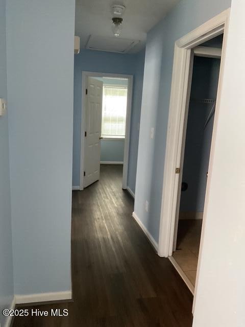 317 Liberty Street Property Photo 6